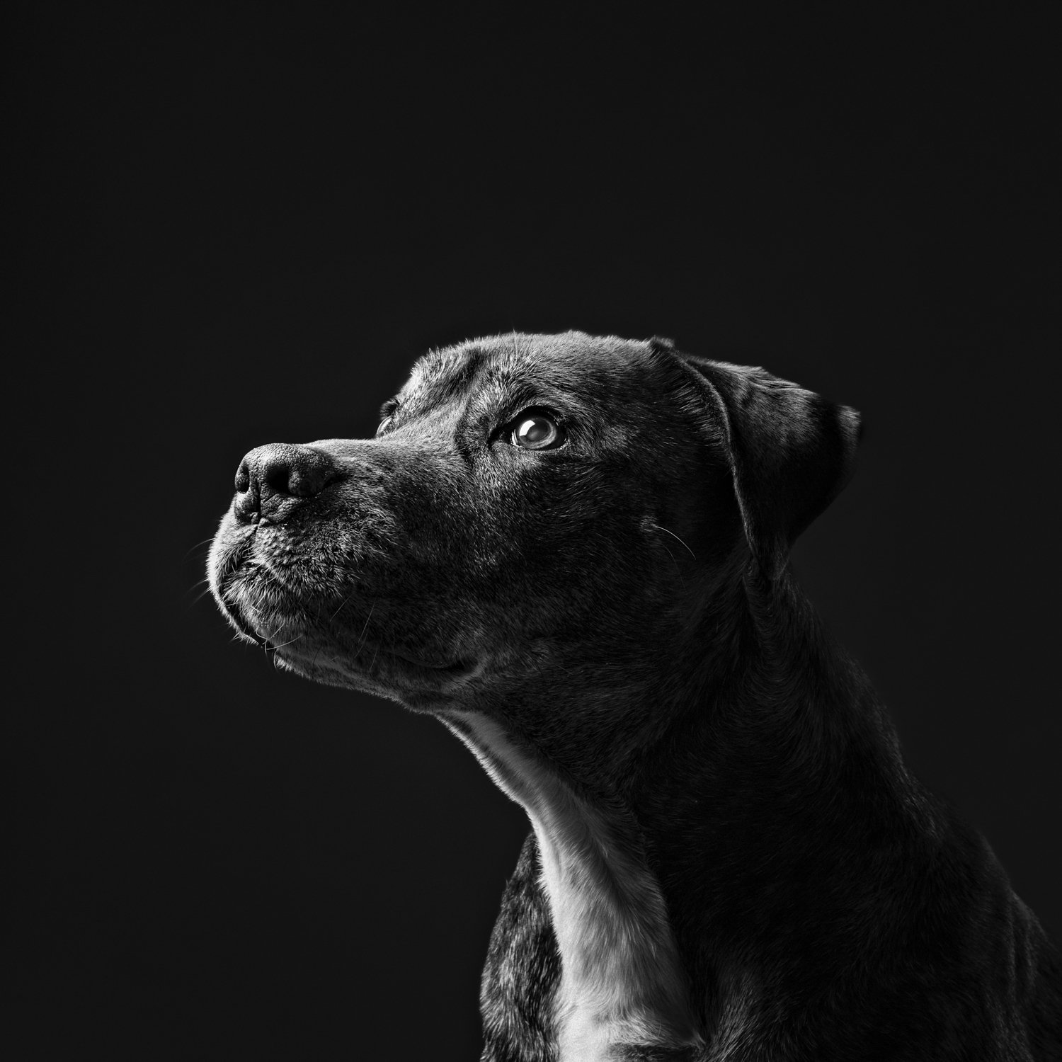 ARTIS STUDIOS PHOTOGRAPHY11-7.jpg