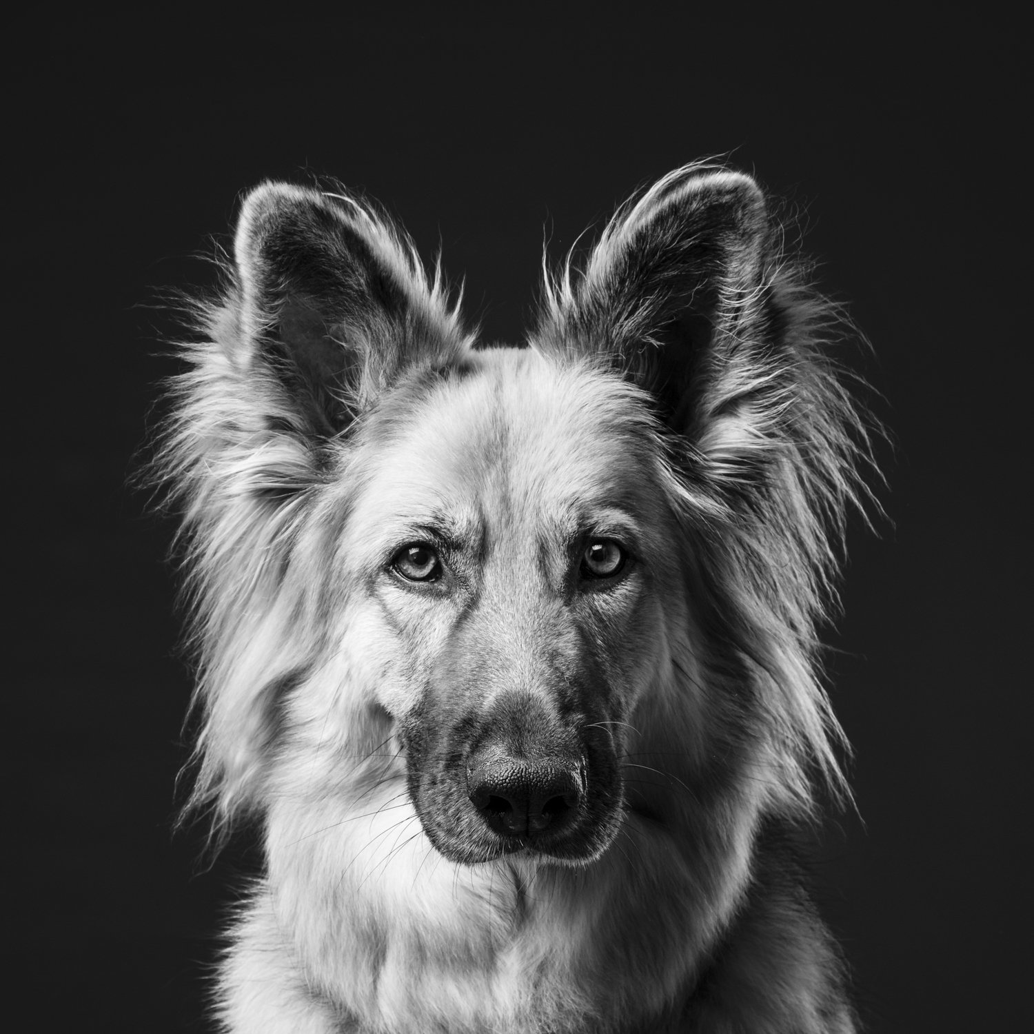 ARTIS STUDIOS PHOTOGRAPHY6-12.jpg