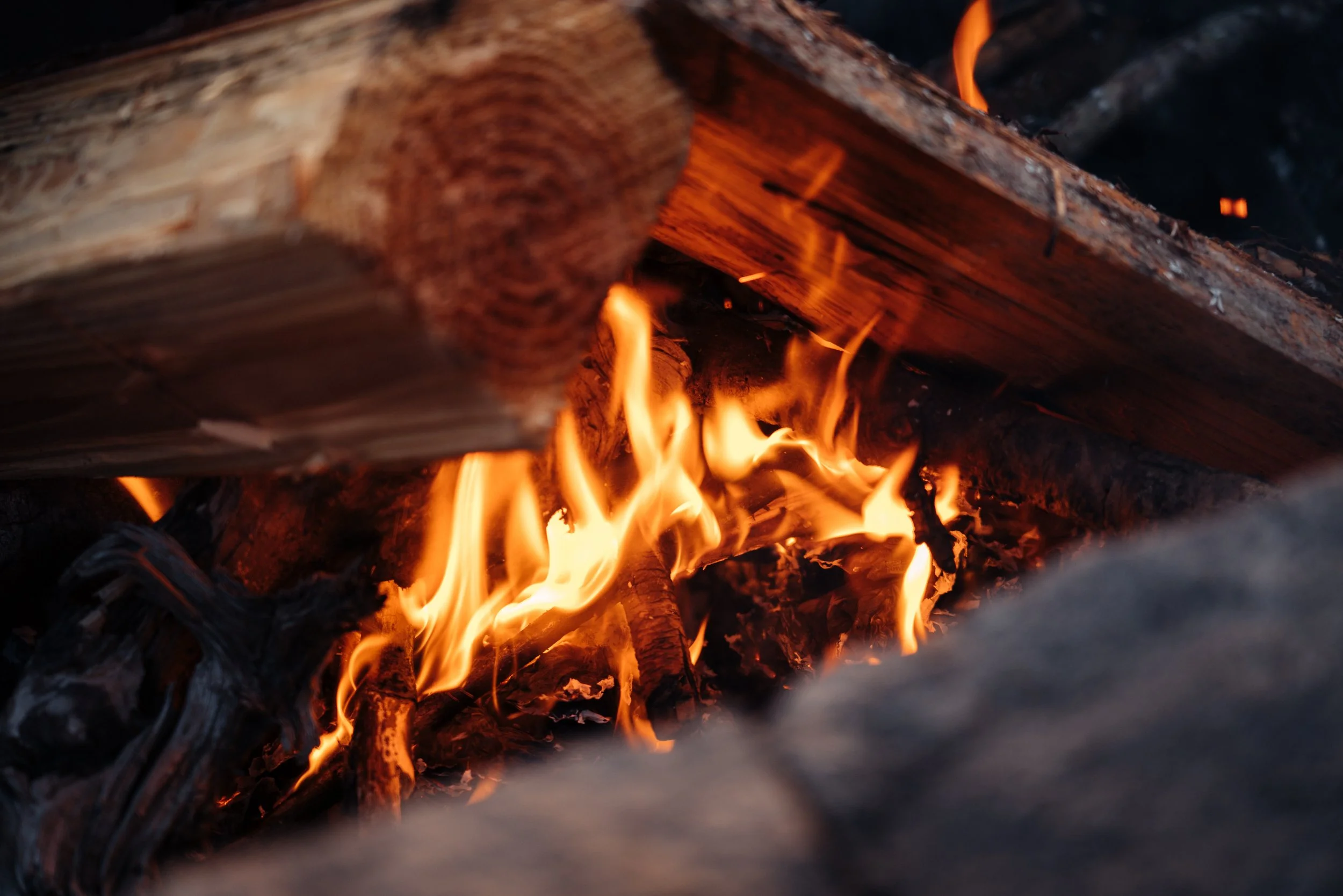 SREG - Campfire & Gourmet S'mores