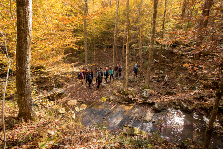 Tanyard Creek Hike + Brewery
