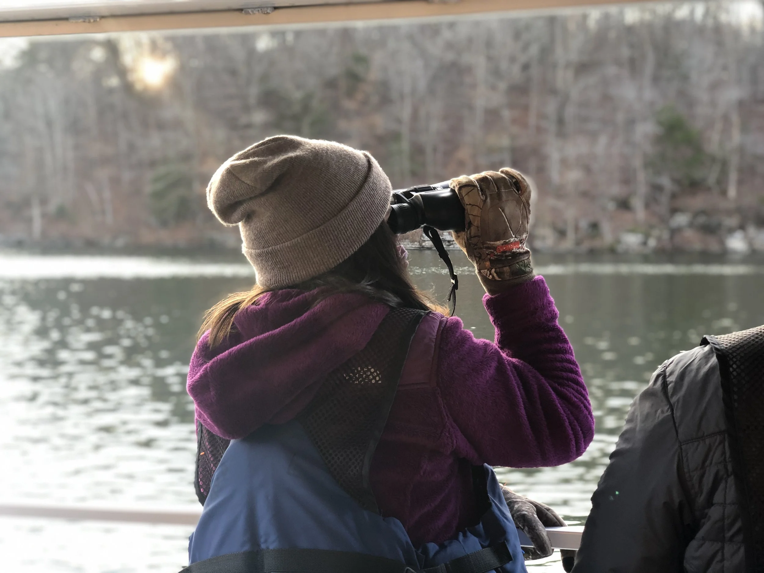 Modern Birding