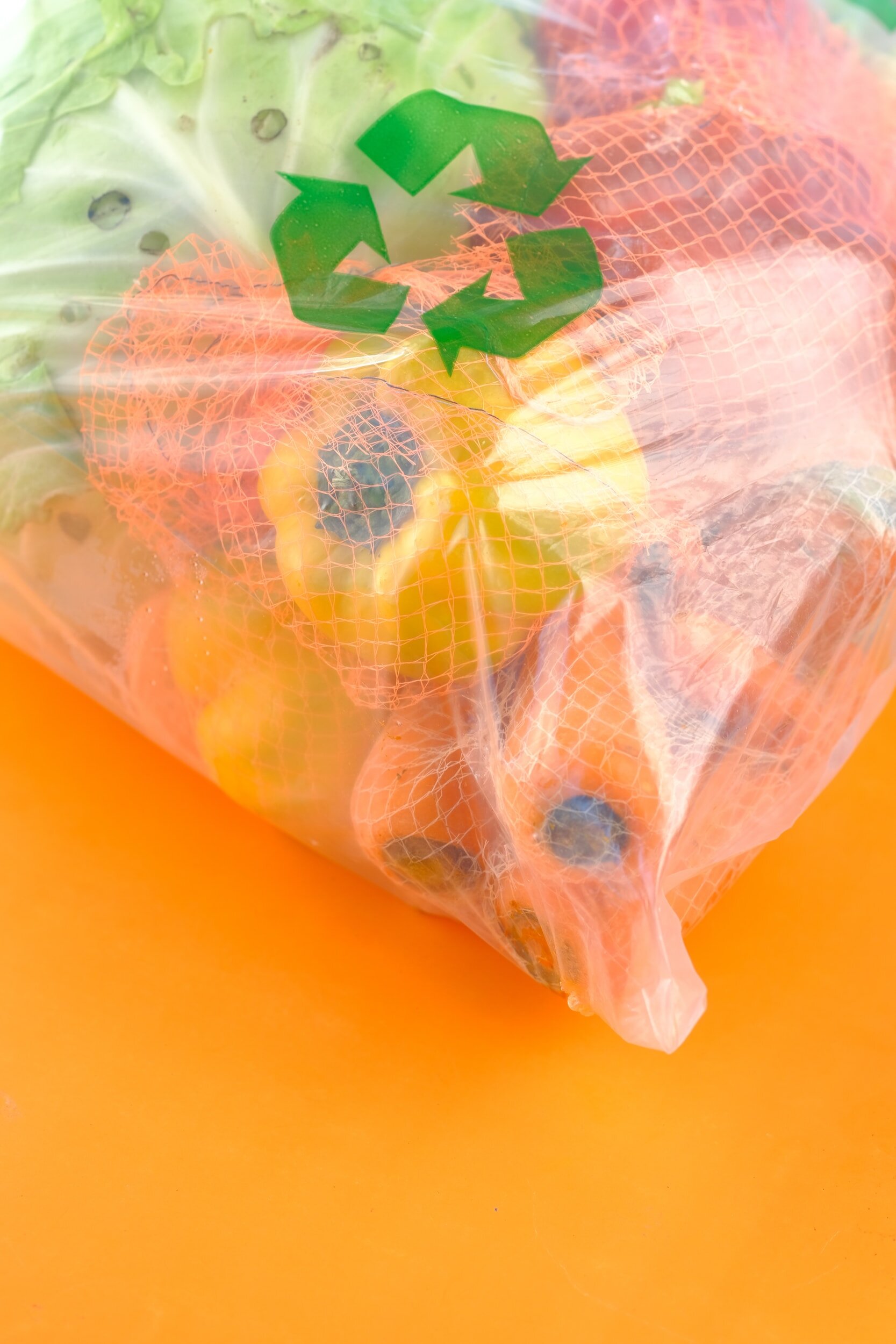 A Question of Sustainability: What does it mean and what is important?