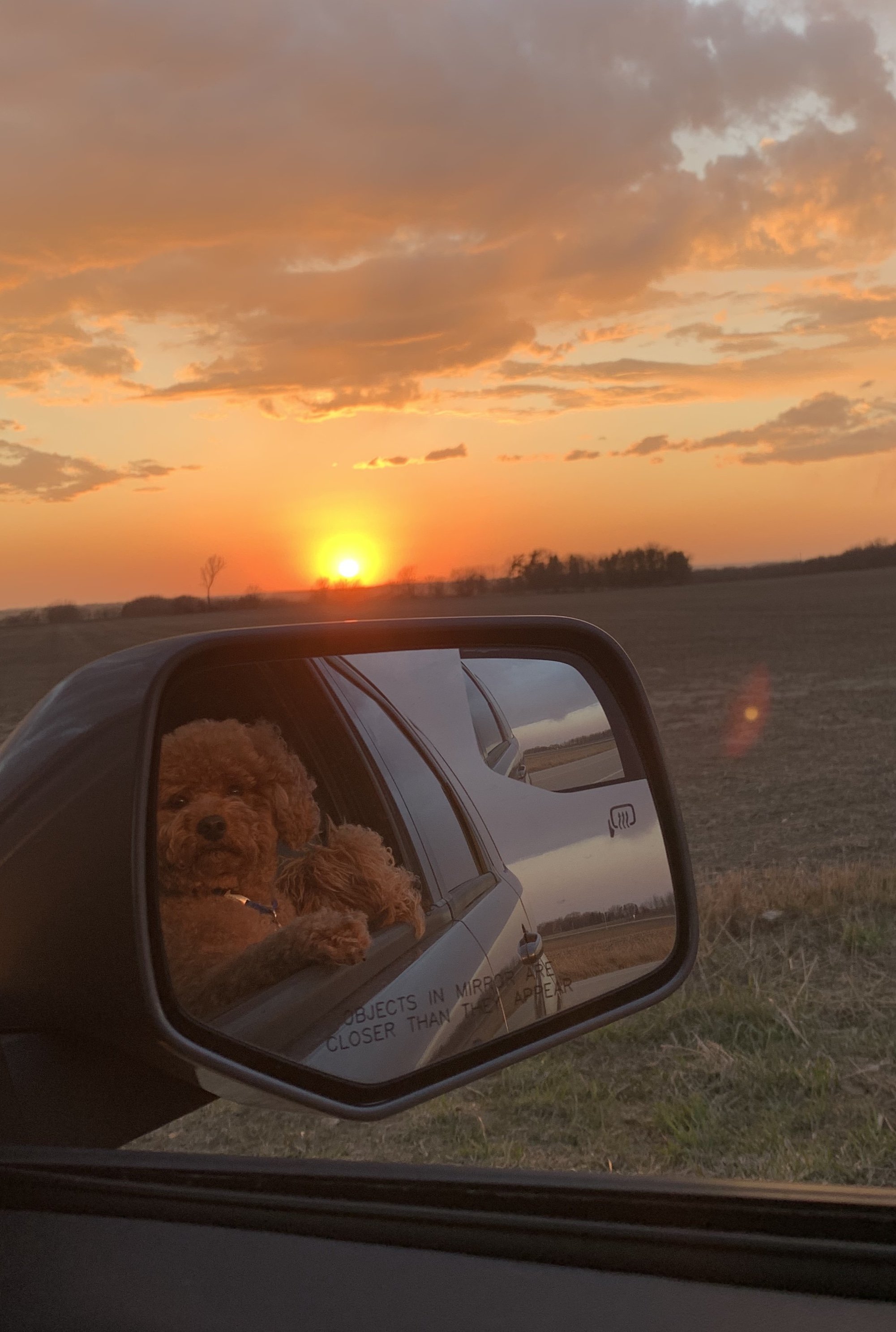 A Reflection on Letting Go, Re-Grounding, and Seasonal Transition