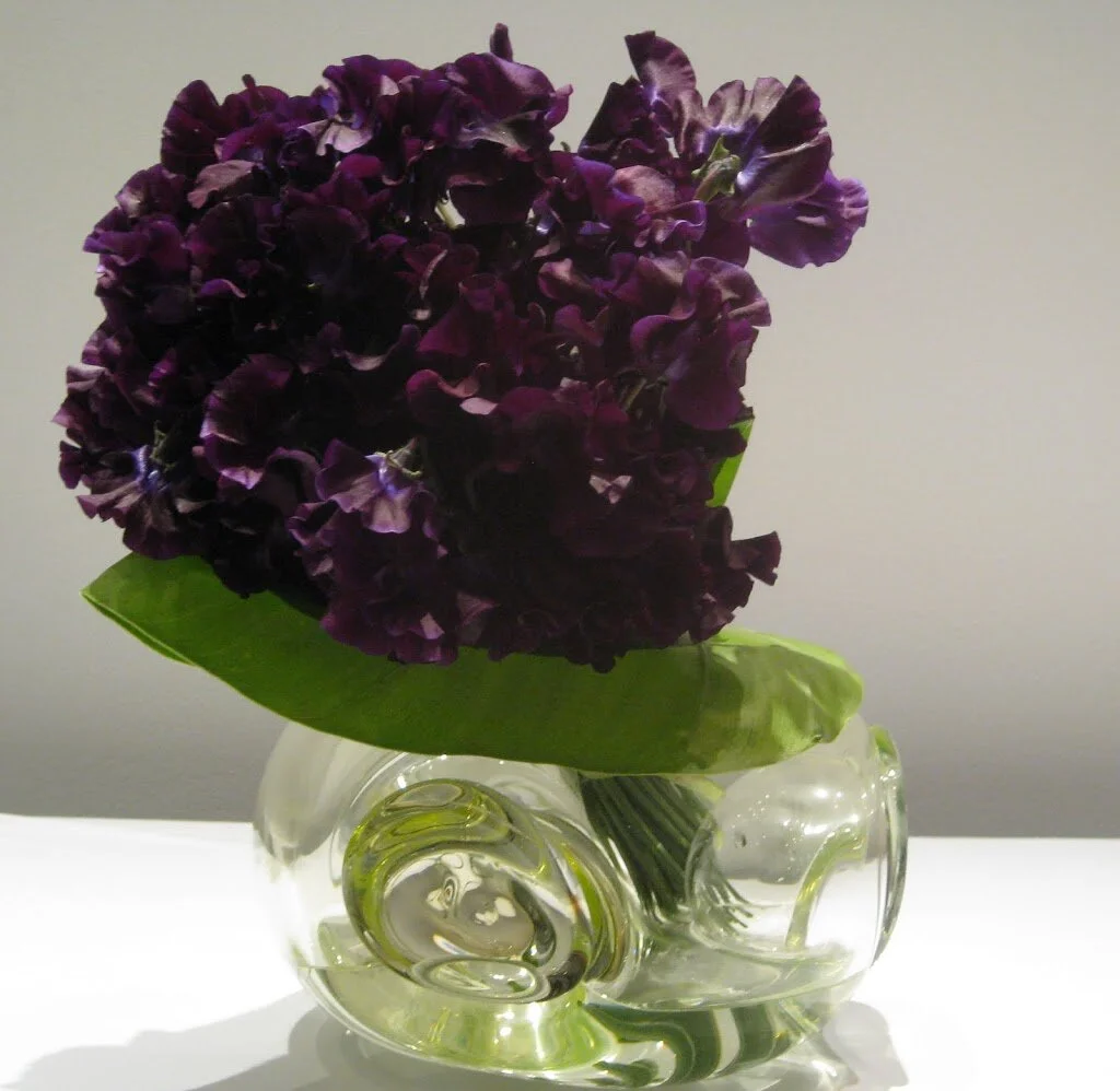 How to take amazing photos with your cell phone!