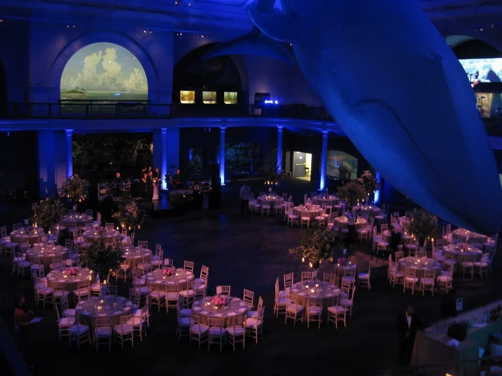 Museum of Natural History Wedding