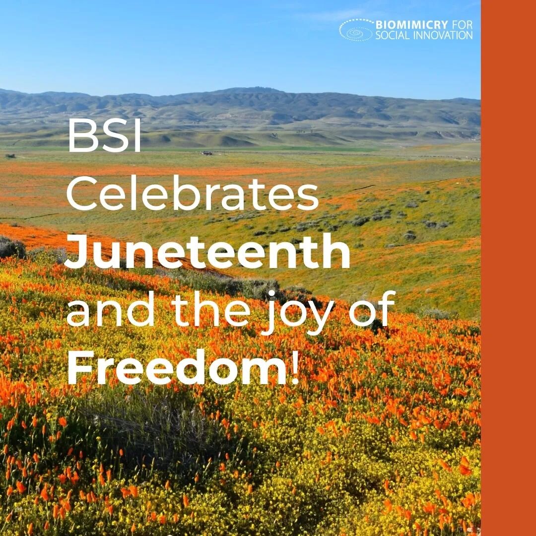 BSI stands in solidarity in celebrating #Juneteenth &ndash; honoring Black freedom and resilience, the indomitable spirit of Black Americans. We recognize ongoing injustices and inequities, and recommit to working toward racial justice and true liber