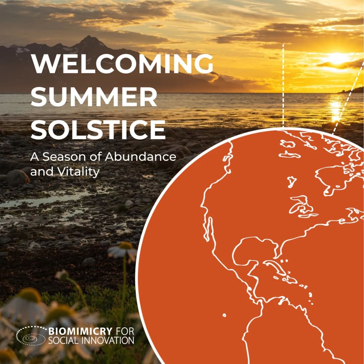 Happy Solstice! Celebrating Summer with BSI&rsquo;s new seasonal newsletter - click the link in bio to check it out and swipe here for a glimpse&hellip;

To be updated on BSI's news, subscribe to our newsletter at bsisocial.org

#BiomimicryForSocialI