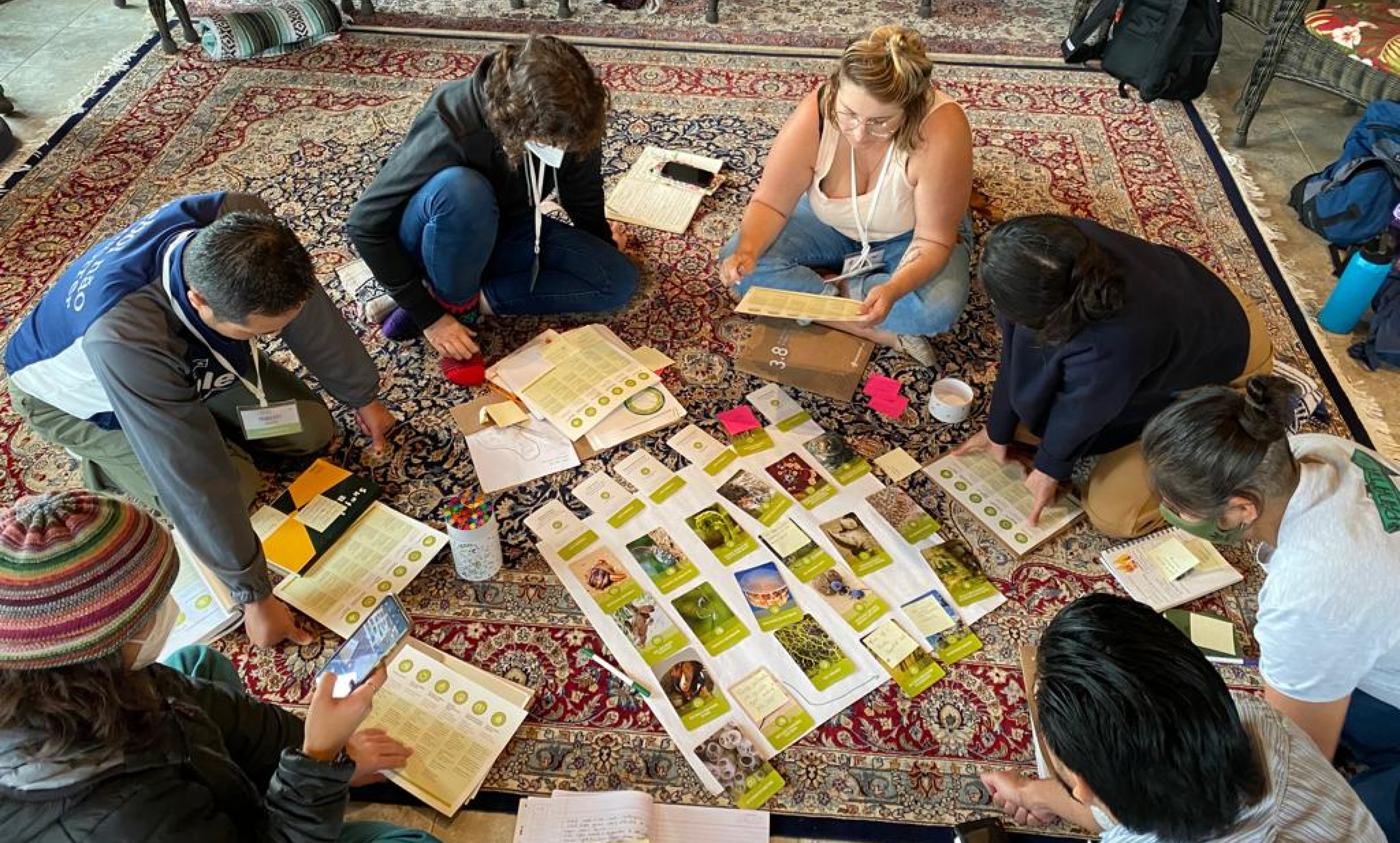 IMG-20231006-WA0077 (1) 4.png