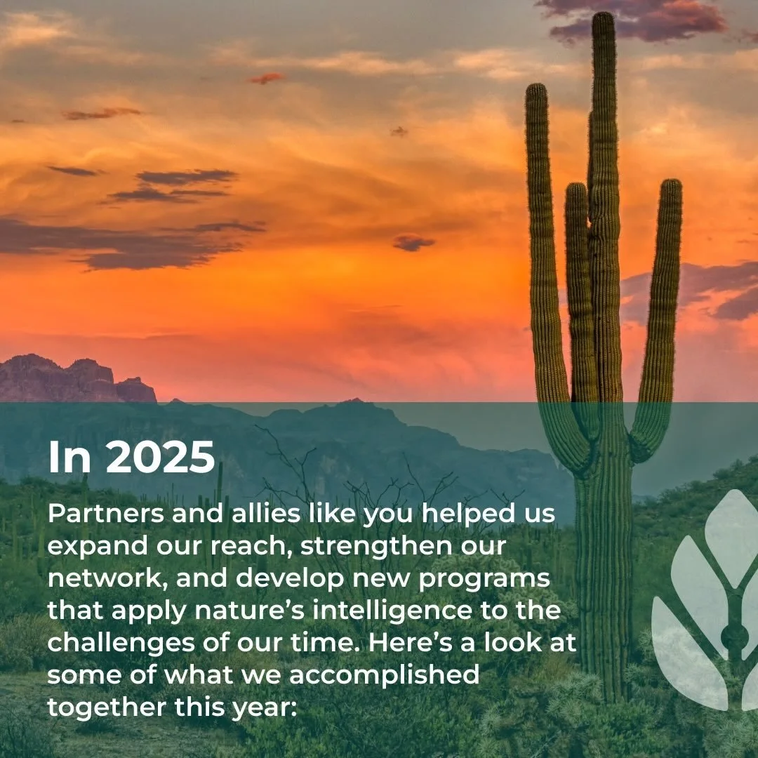 ☀️🍂❄️🌷 Every season reminds us that the natural world is full of abundance. As we move toward 2026, that same sense of generosity is guiding our work. New offerings are emerging, partnerships are deepening, and the ecosystem around BSI is growing i