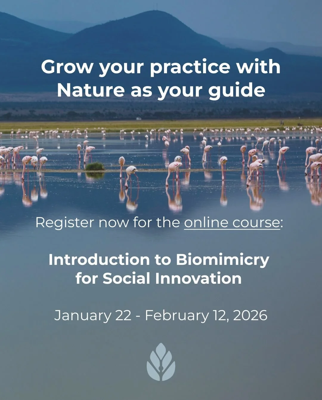 We&rsquo;re excited to share that Biomimicry for Social Innovation is offering a four-week online course starting January 22, 2025, designed to help leaders, educators, and change-makers learn directly from nature&rsquo;s evolutionary wisdom.

➡️ Reg