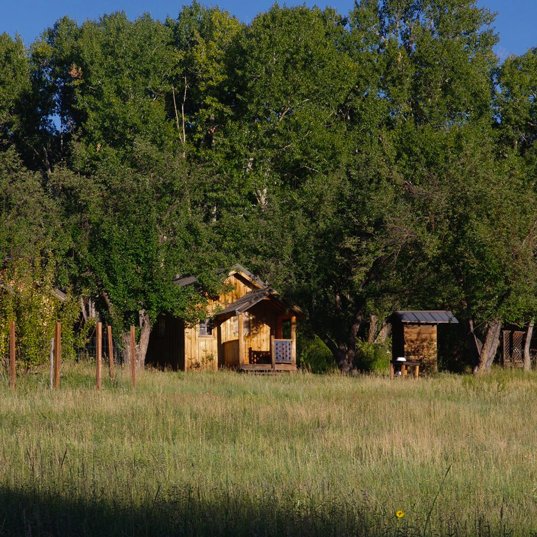 Imagem WhatsApp 2024-06-04 às 20.15 1.png