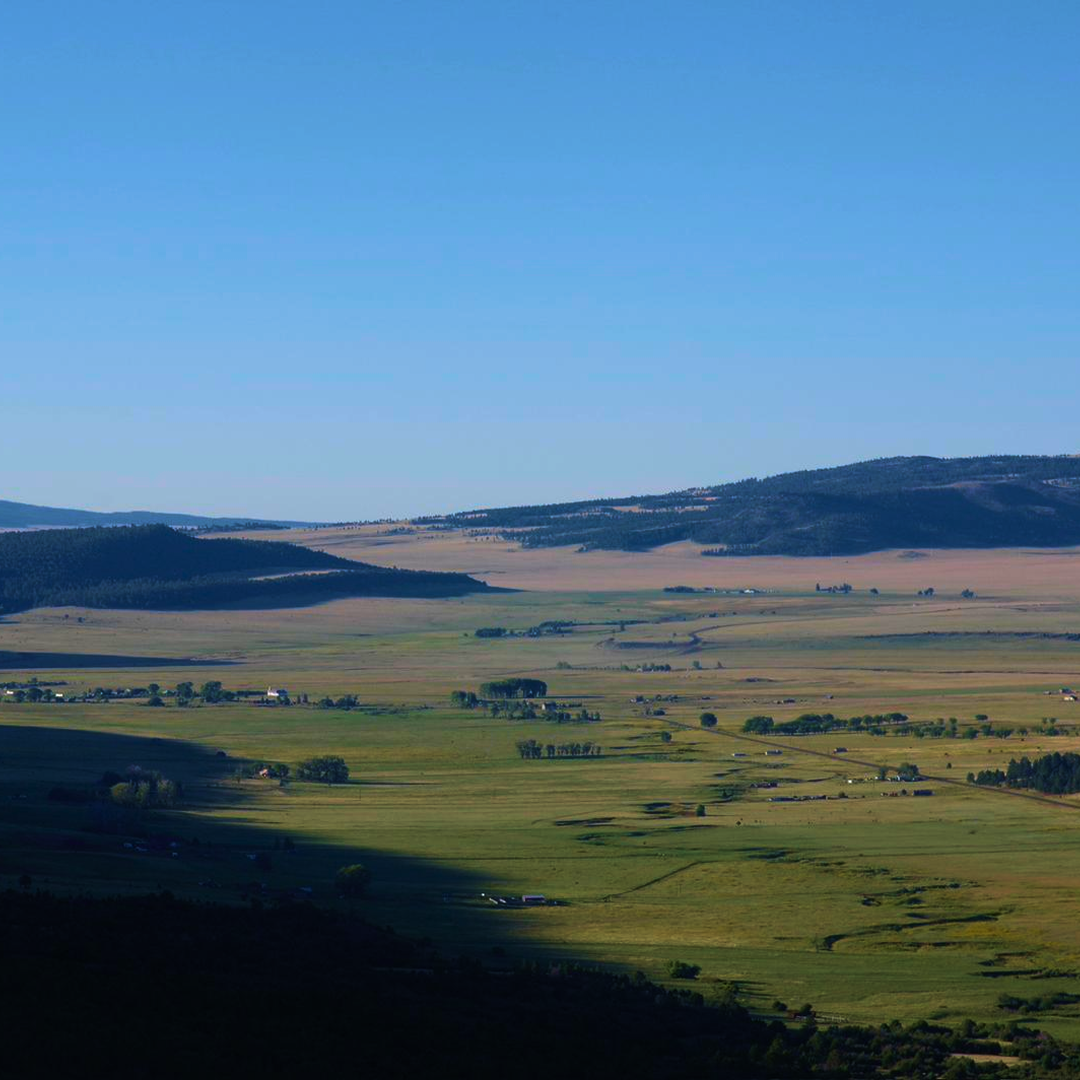 Imagem WhatsApp 2024-06-04 às 20.16.png