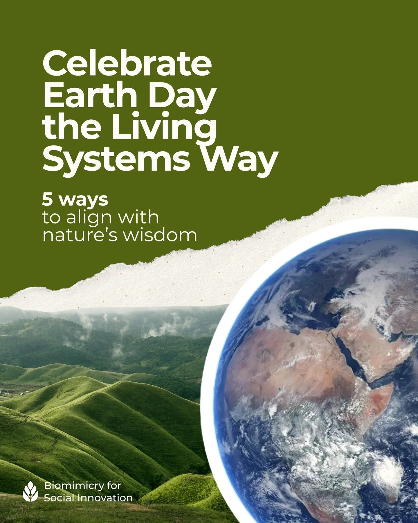 𝟱 𝗪𝗮𝘆𝘀 𝘁𝗼 𝗠𝗮𝗸𝗲 𝗘𝗮𝗿𝘁𝗵 𝗗𝗮𝘆 𝗮𝗻 "𝙀𝙫𝙚𝙧𝙮𝙙𝙖𝙮" 𝗣𝗿𝗮𝗰𝘁𝗶𝗰𝗲🌿

At Biomimicry for Social Innovation, we look to living systems not just for inspiration, but for instruction&mdash;how to lead, collaborate, and regener