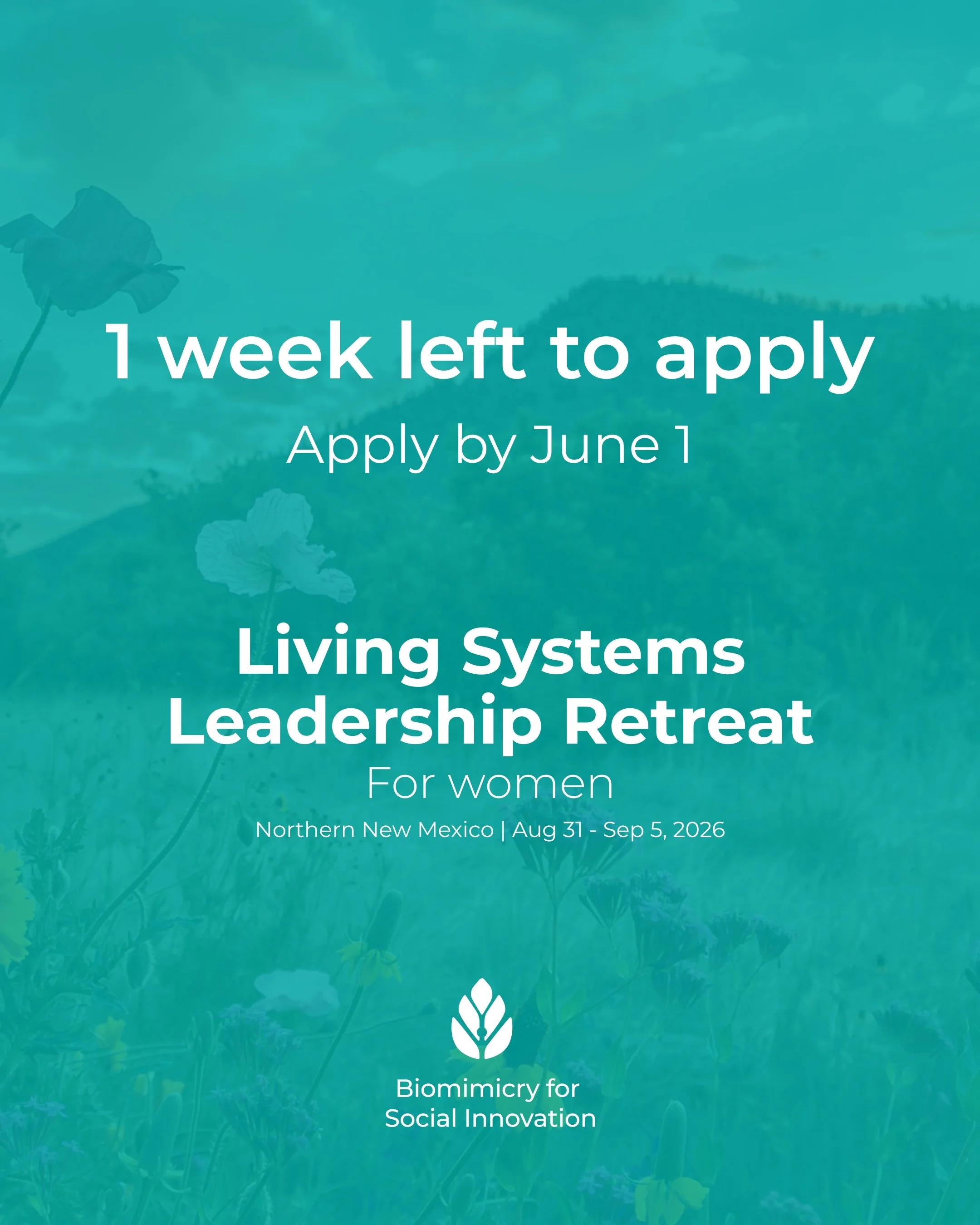 Less than one week left to apply to the Living Systems Leadership Retreat for Women!

If you're drawn to the interconnected challenges of our time&mdash;climate, democracy, economic justice, racial equity, and beyond&mdash;and curious about what natu