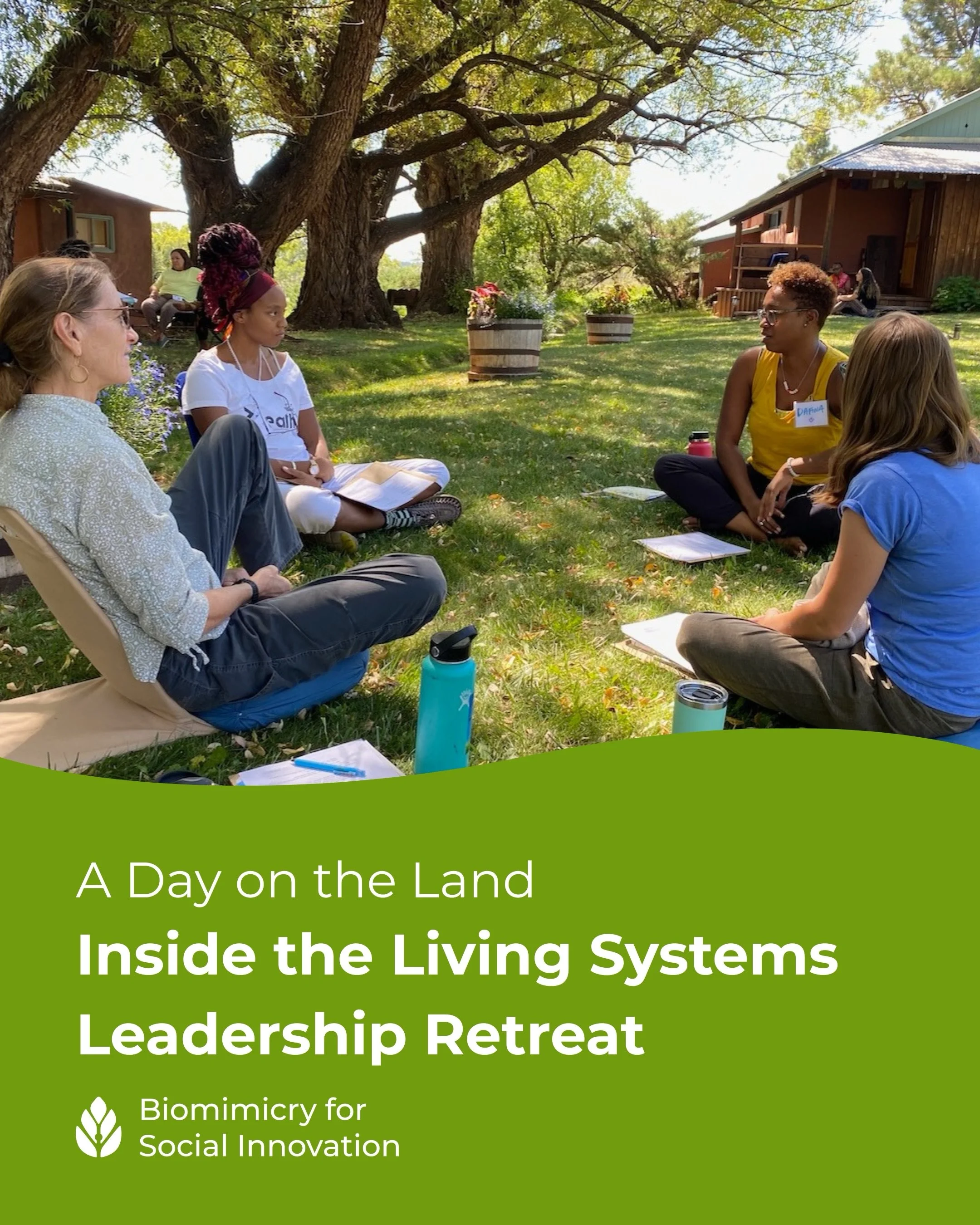 What if one week could transform how you lead, collaborate, and relate to the living world around you?

At the Living Systems Leadership Retreat for Women, each day is intentionally designed by our facilitators to blend ecological learning, embodied 