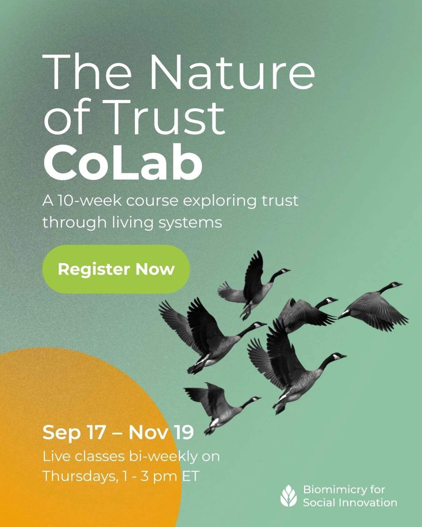 We&rsquo;re excited to invite you to join The Nature of Trust CoLab&mdash;a 10-week online learning experience to discover what living systems can teach us about cultivating trust in human systems.

Whether we&rsquo;re leading a team, navigating a pa
