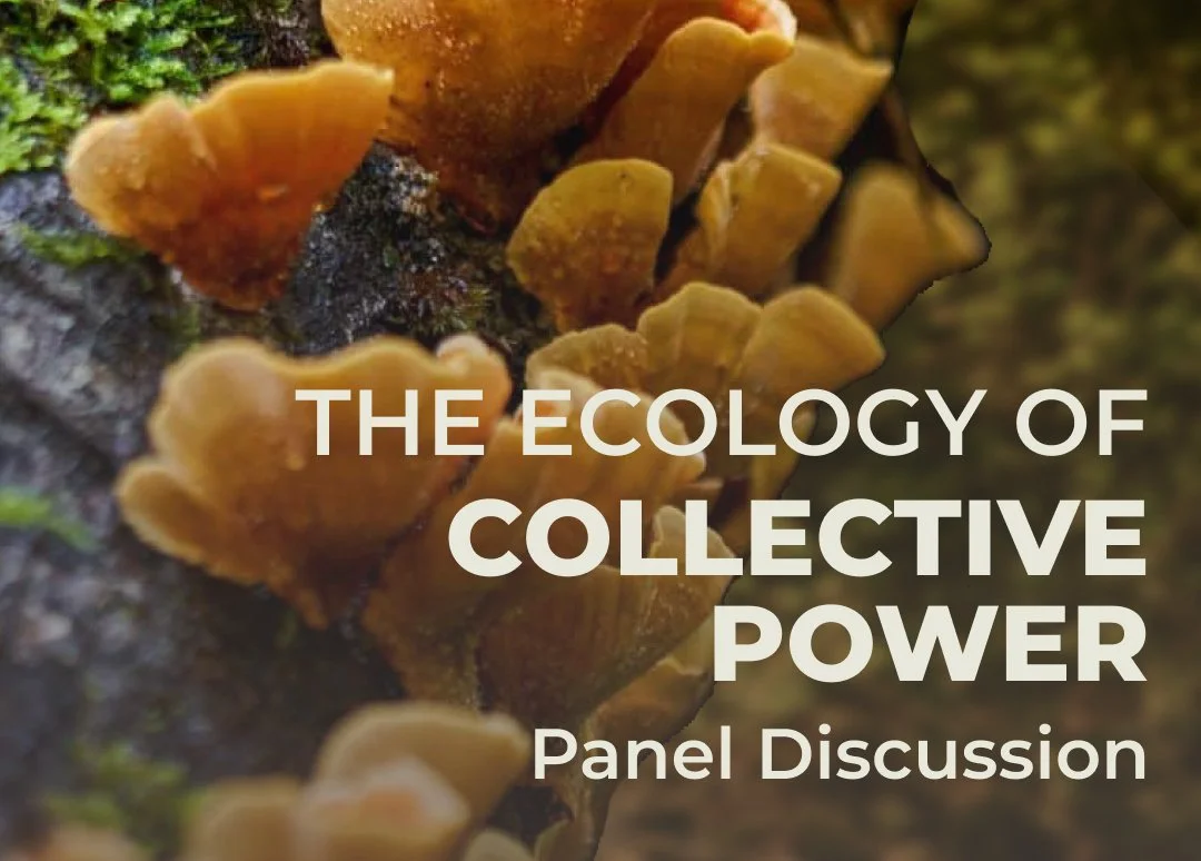 The Ecology of Collective Power Panel Discussion