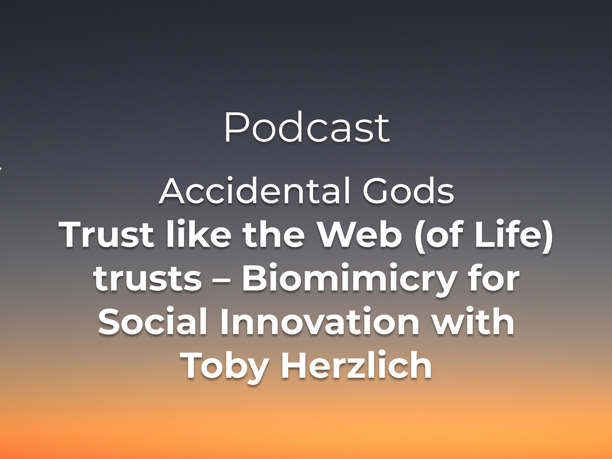 Accidental Gods
Trust like the Web (of Life) trusts – Biomimicry for Social Innovation with Toby Herzlich