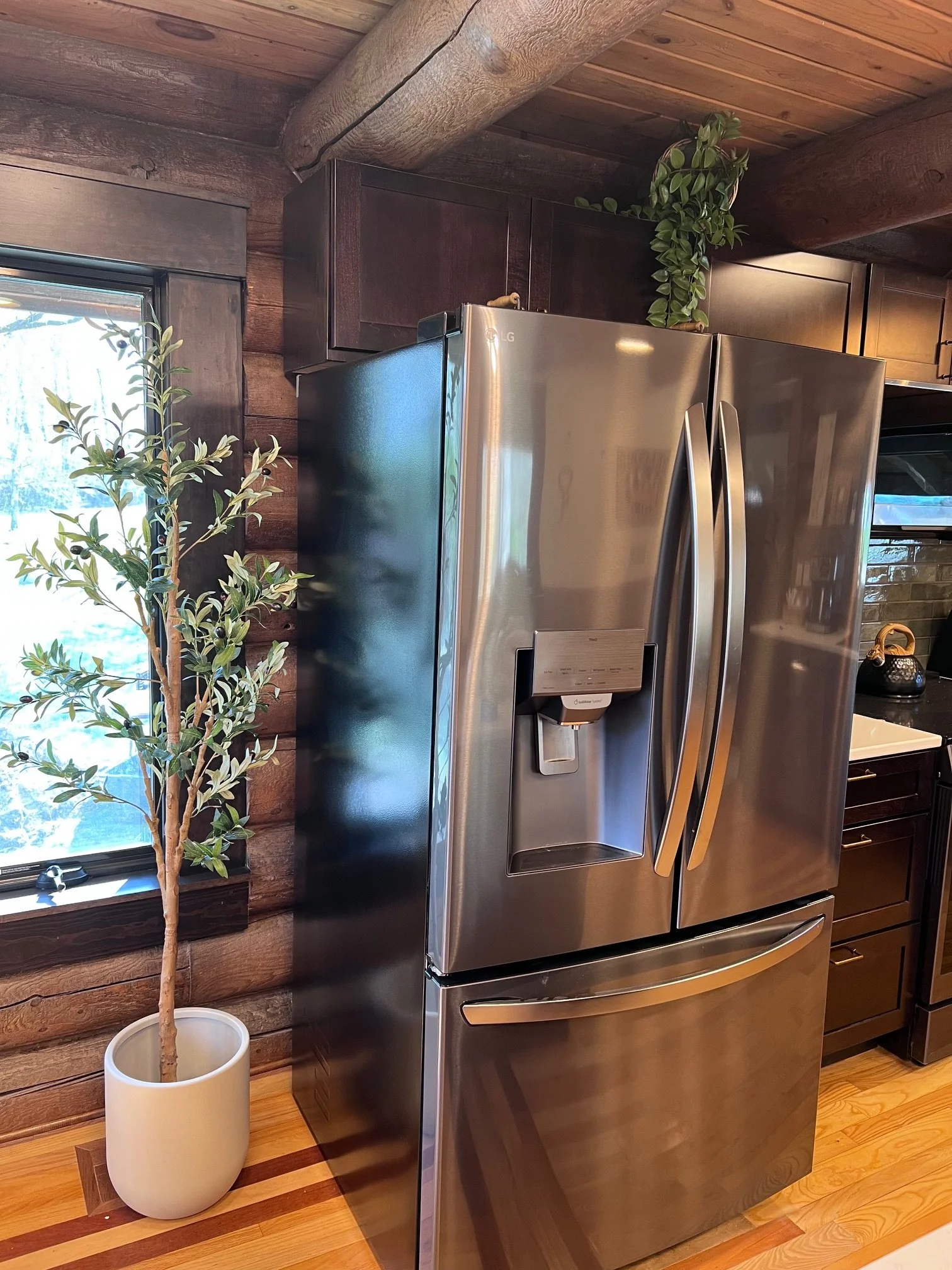 A stainless steel LG refrigerator with a water dispenser in a kitchen. To the left, a potted plant with green leaves inside a white pot near a window, with wooden cabin walls and a hardwood floor.