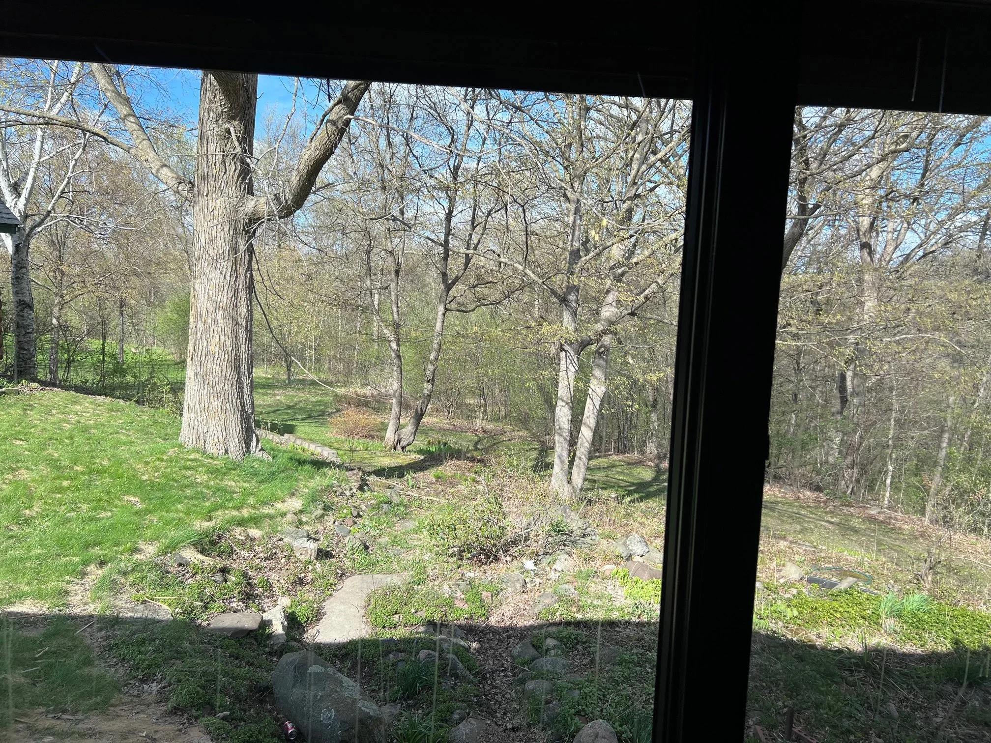 A view of a backyard with trees, grass, and rocks, taken from inside a house through a window.