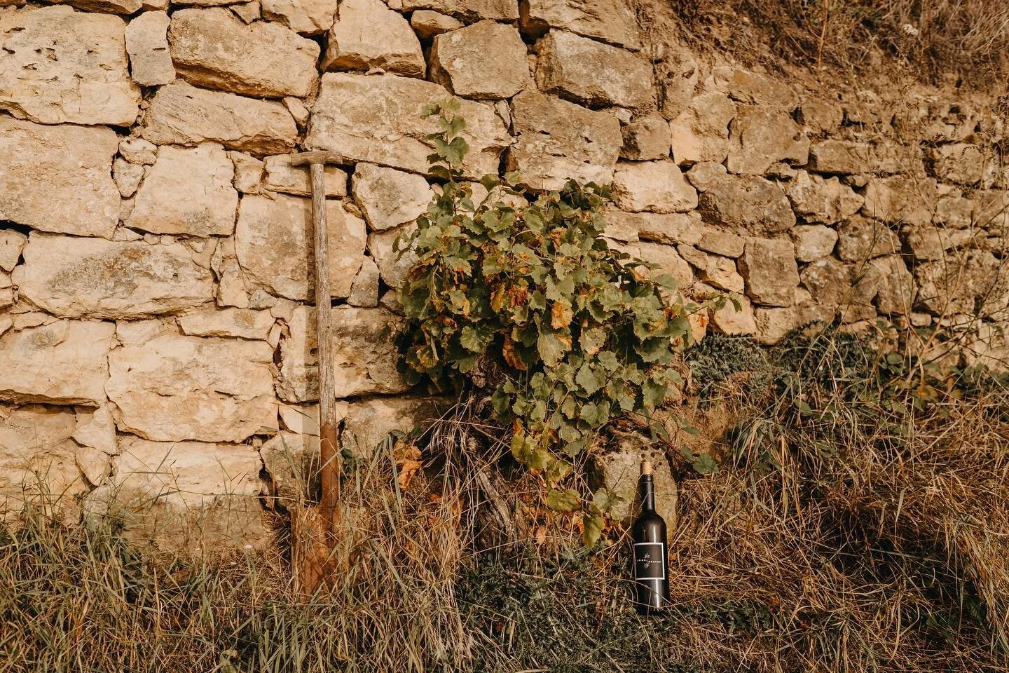 Rotweincuv&eacute;e 🍷