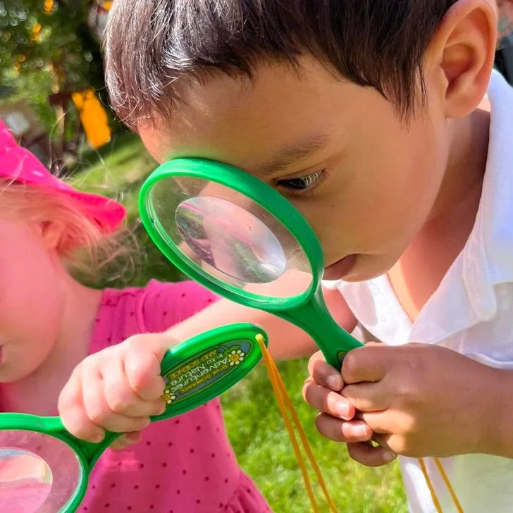 What we are learning in June