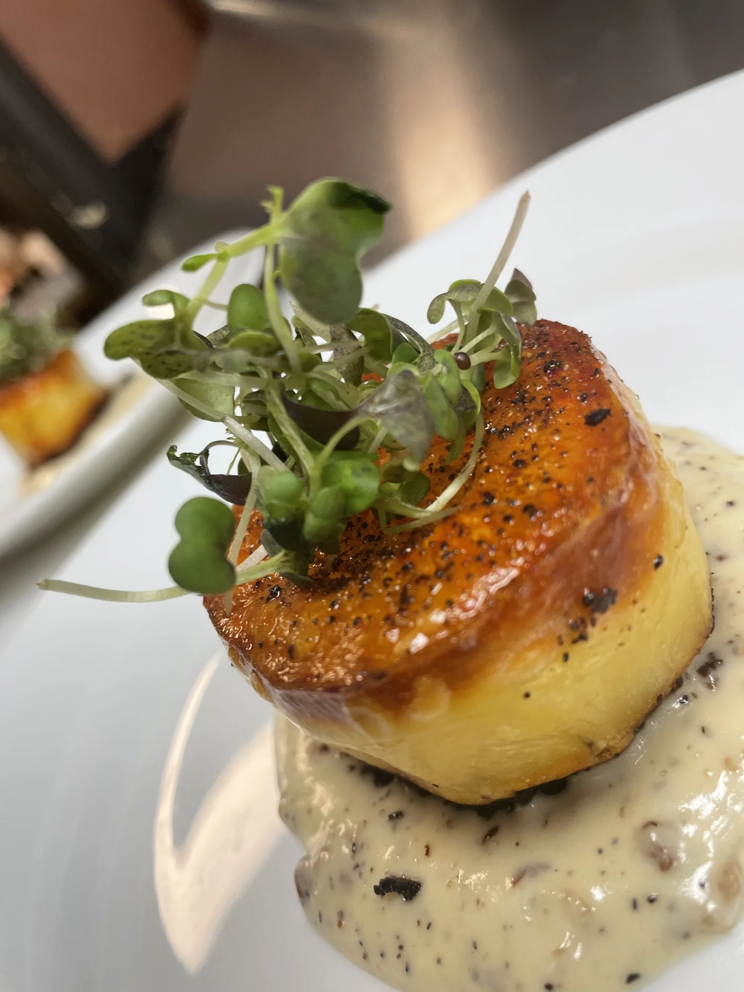 Photos — Tartare