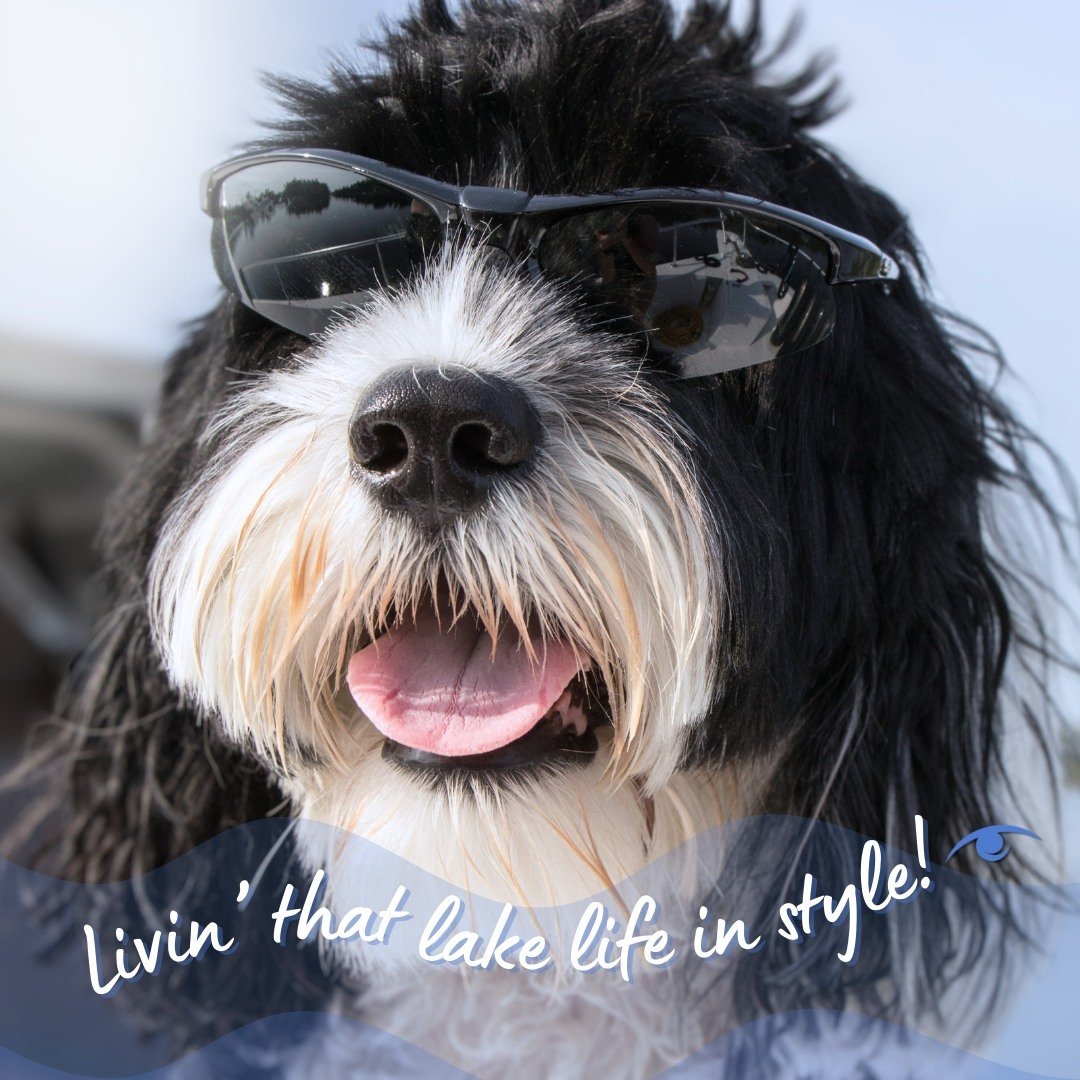 It's ruff in the wake without a good pair of 🕶️ shades. Your eyes deserve a better view! You can walk in and order a pair of sunglasses or order a pair with your prescription. Ask about our collection of Oakley shades with Prizm Technology!
.
.
.
#w