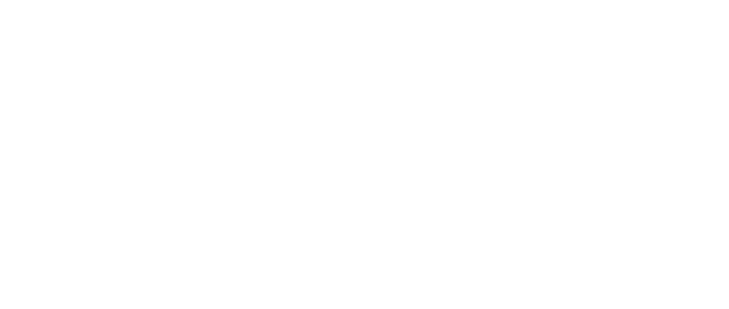 Bina Marie