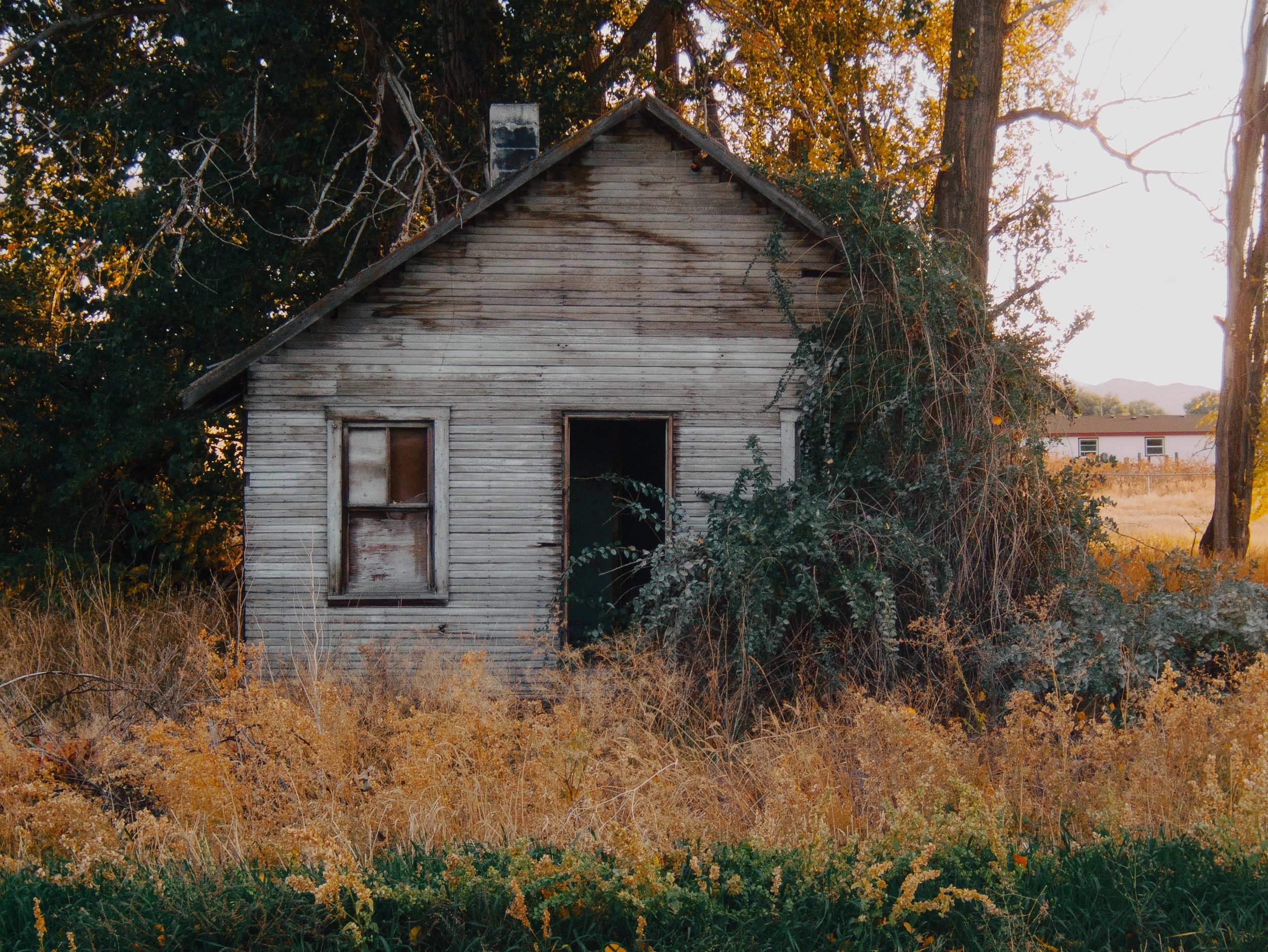 DSCF0111-Edit.jpg