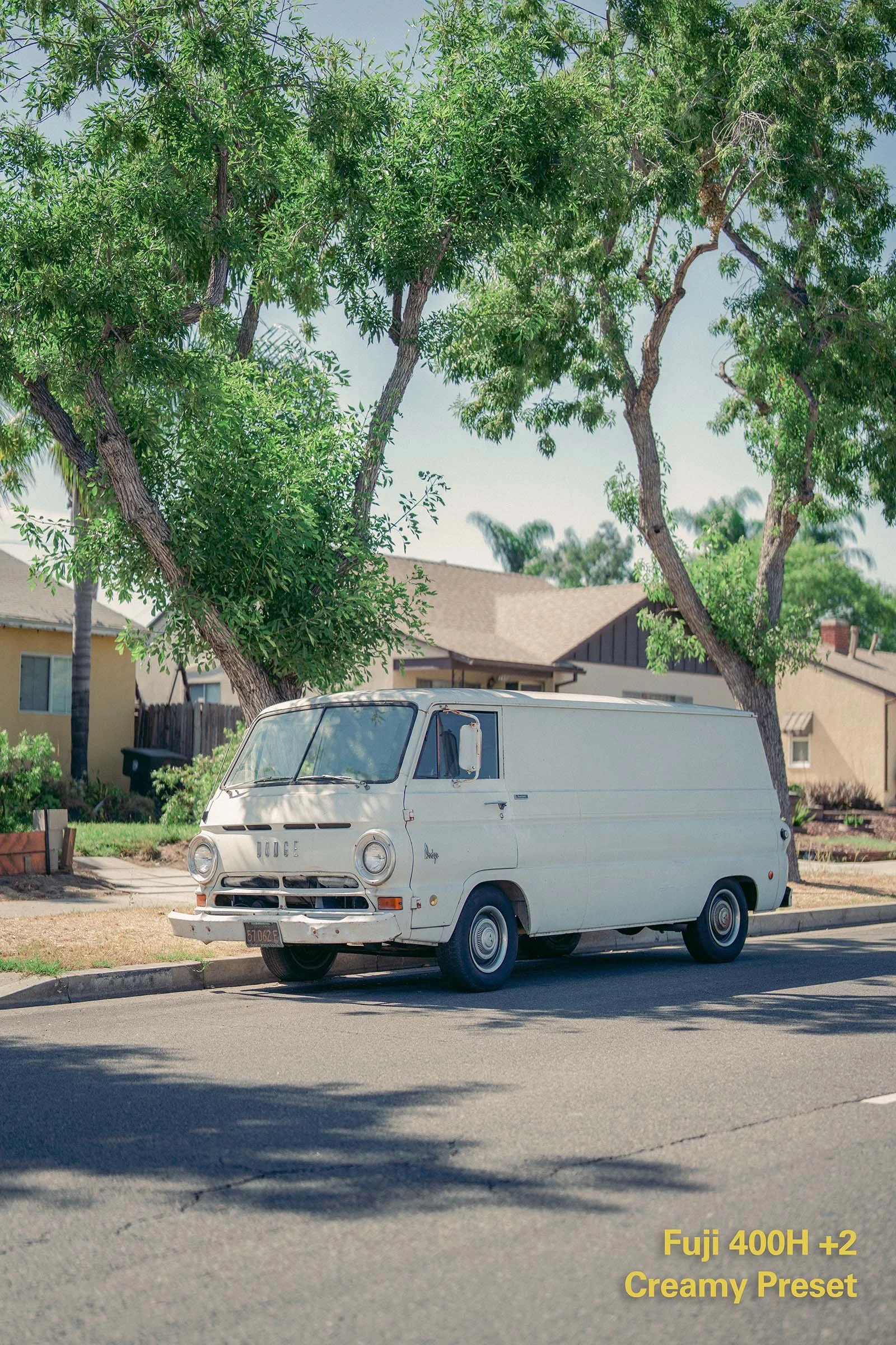 Fuji 400H +2 Creamy Preset.jpg