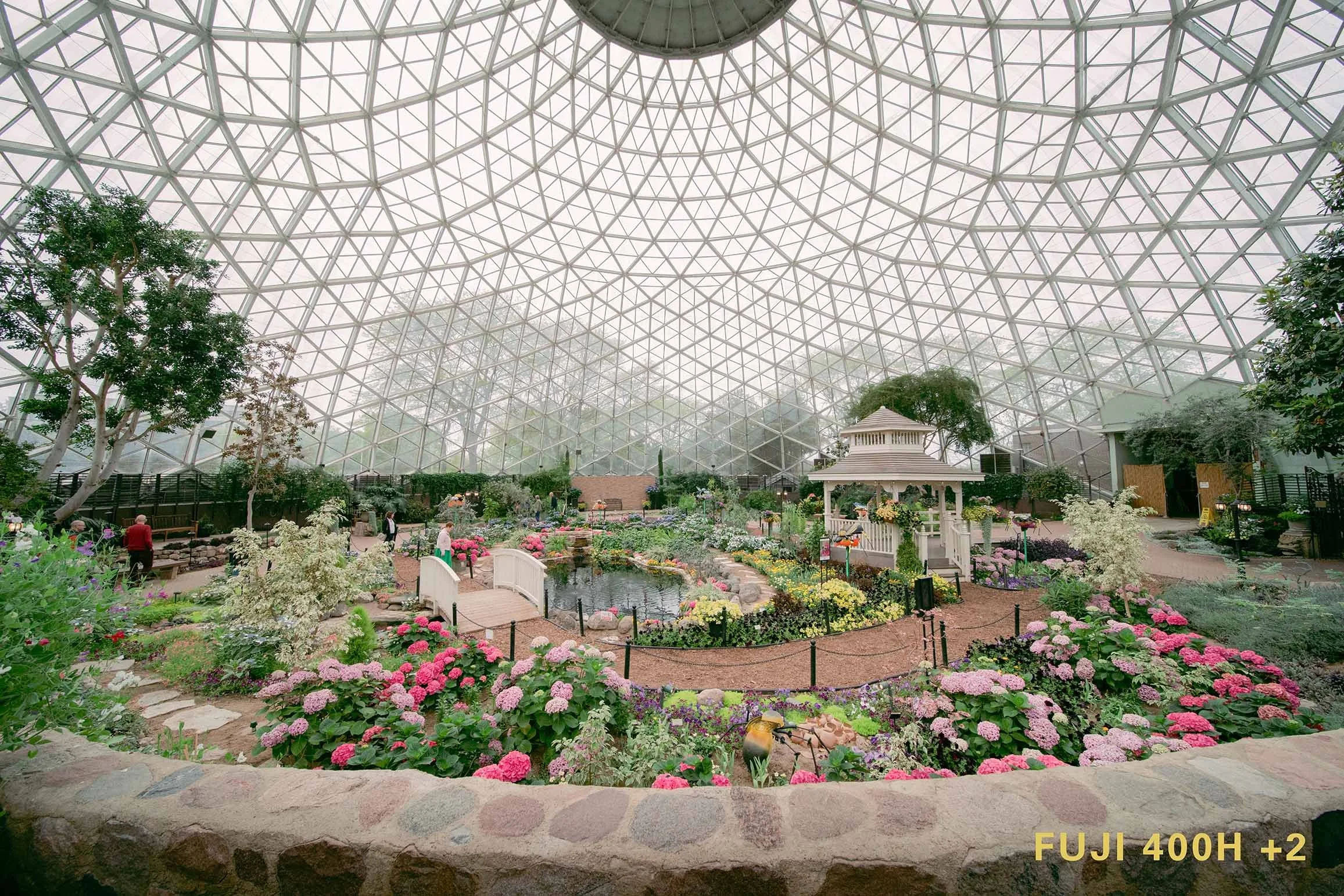 Fujifilm 400H Preset Lightroom