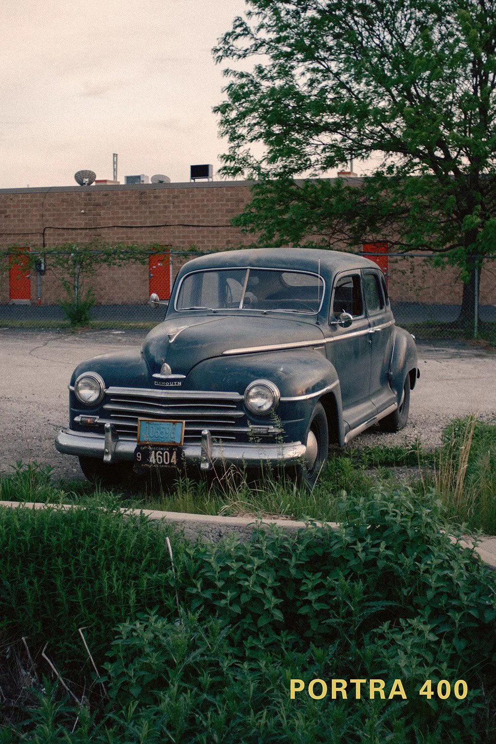 Kodak Portra 400 Lightroom Profile
