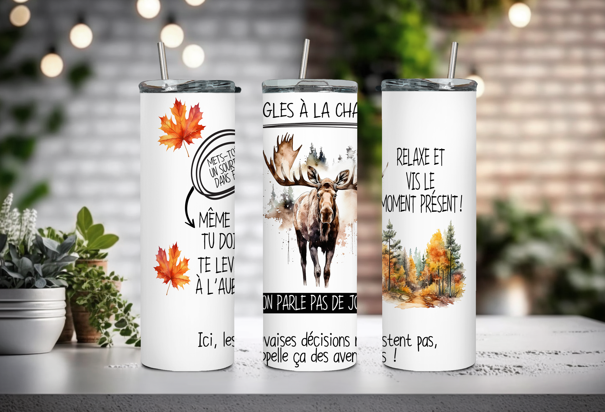 Règle à la chasse orignal