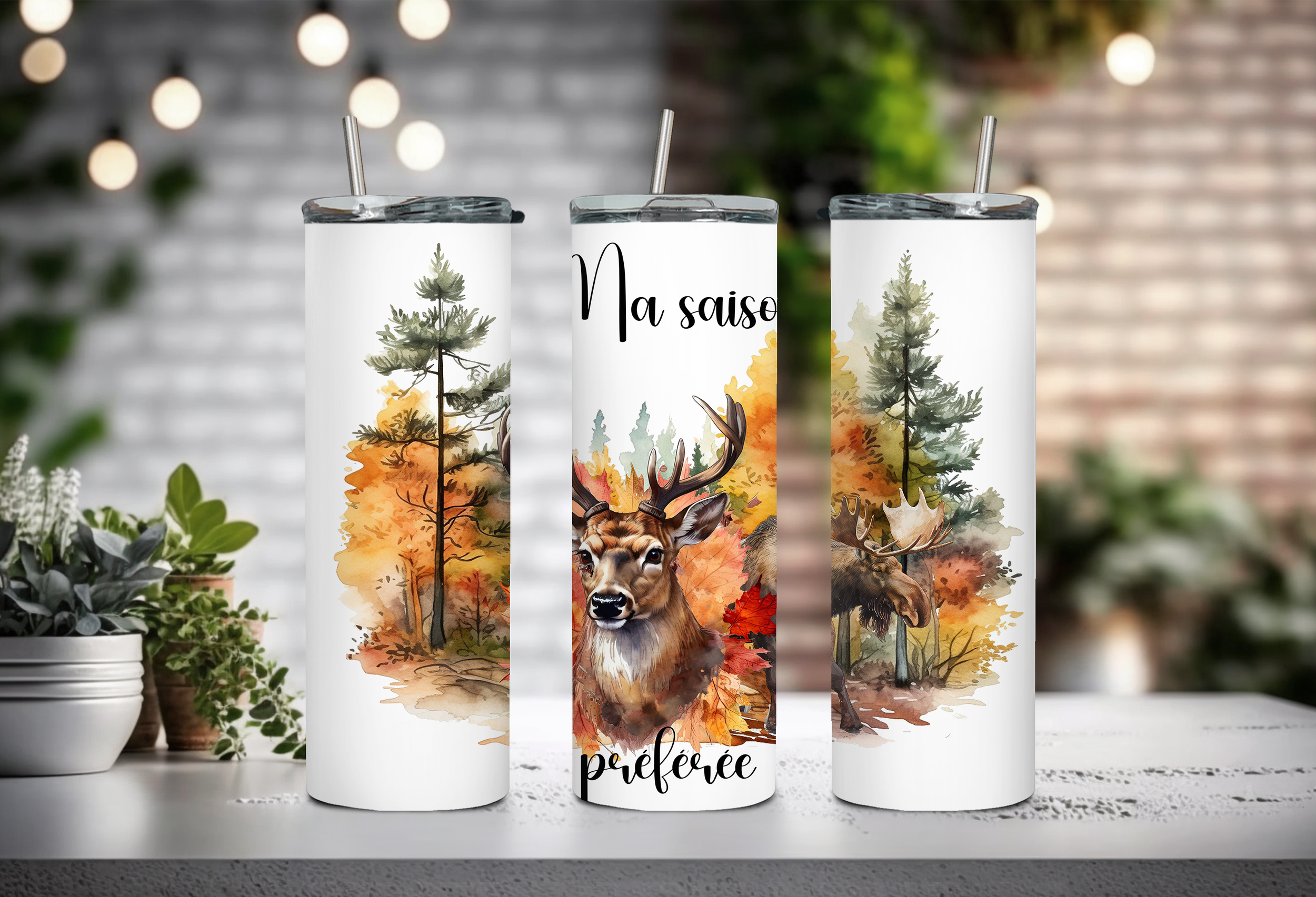Ma saison préférée (chasse)