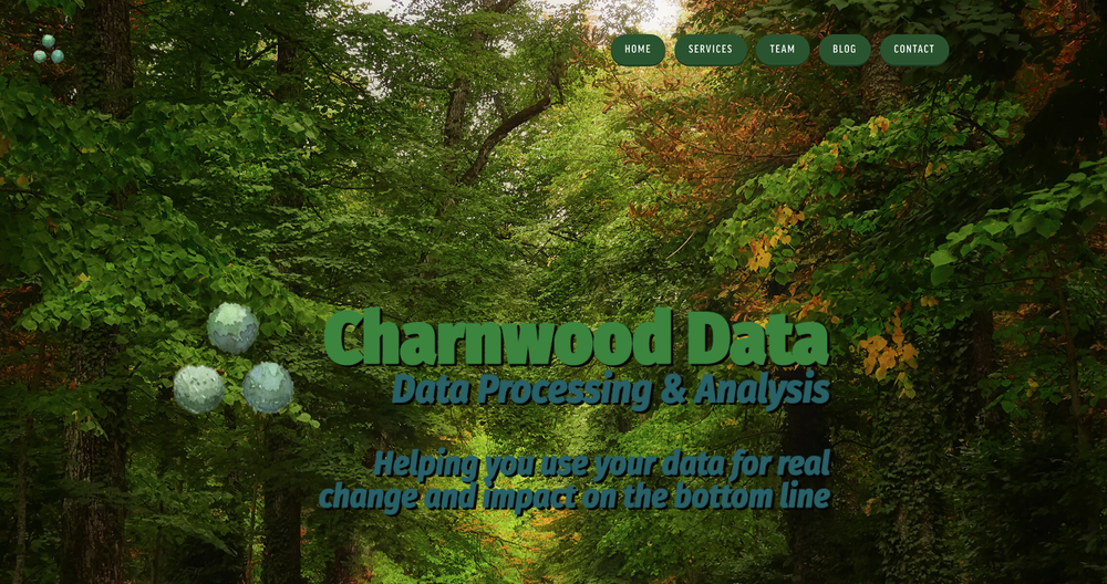 The Charnwood Agency's Website Before
