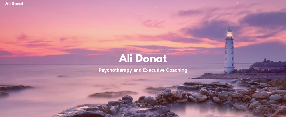 Ali's Website Before