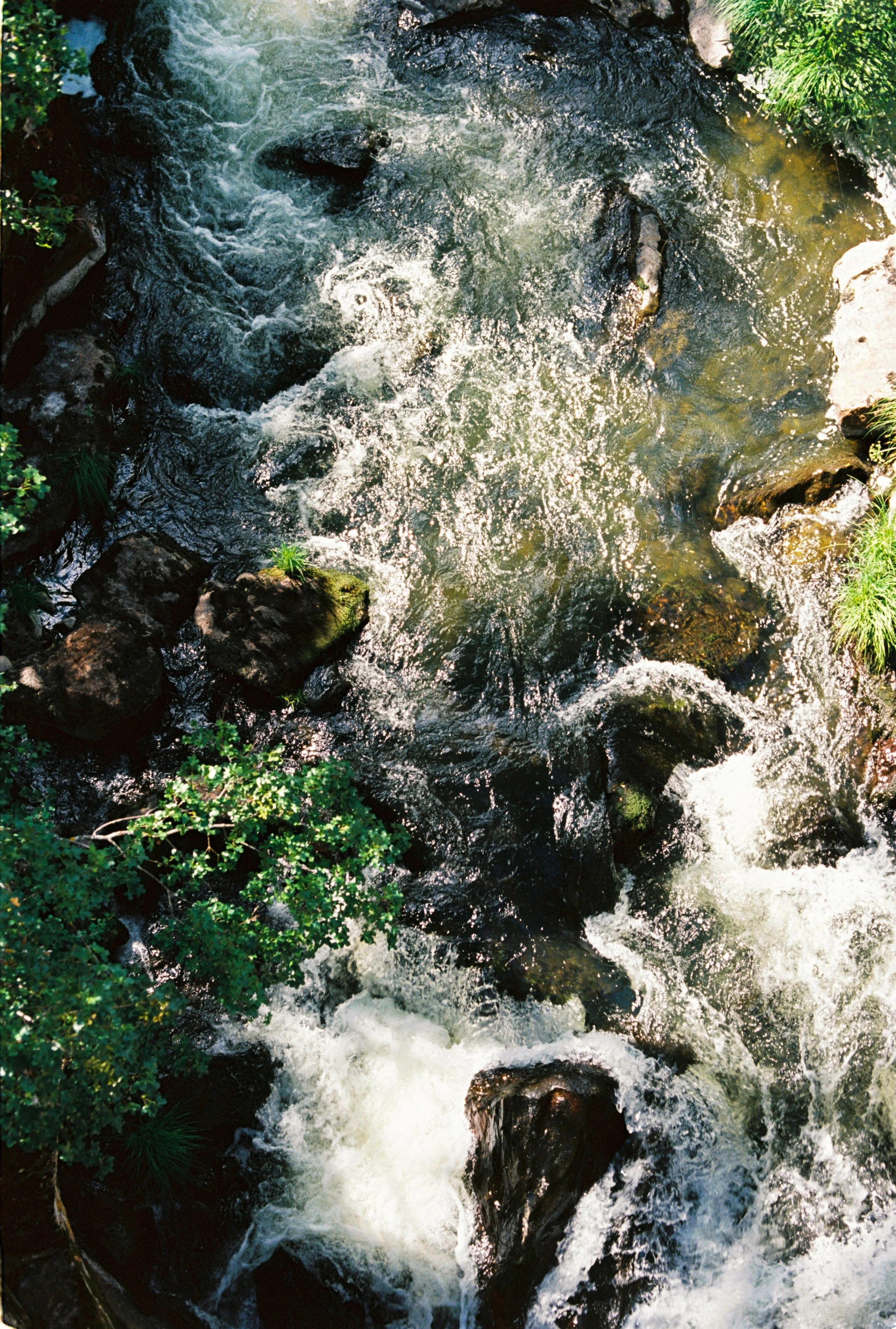 Fundraising & Resource Mobilisation