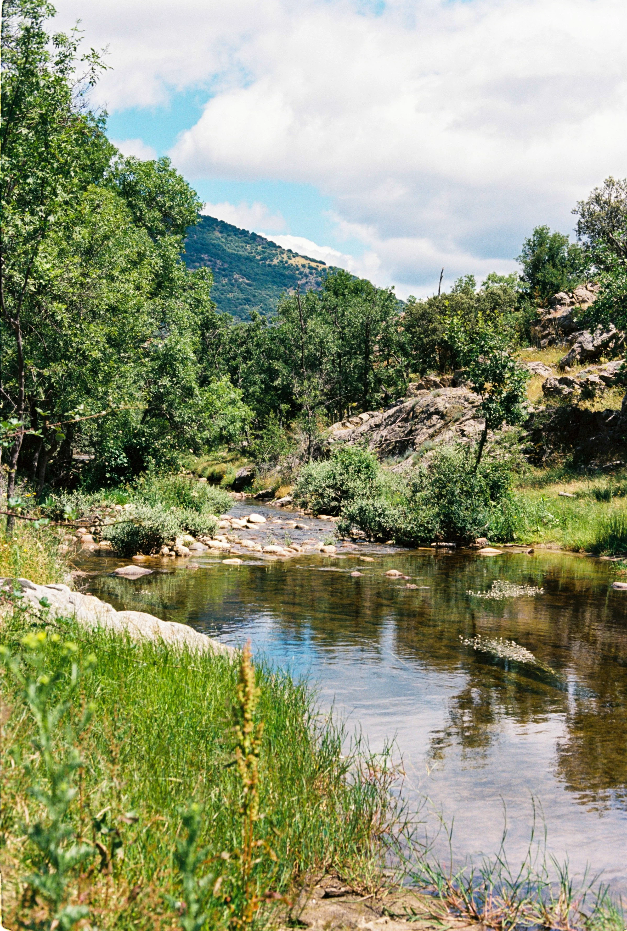 Reports & Publications