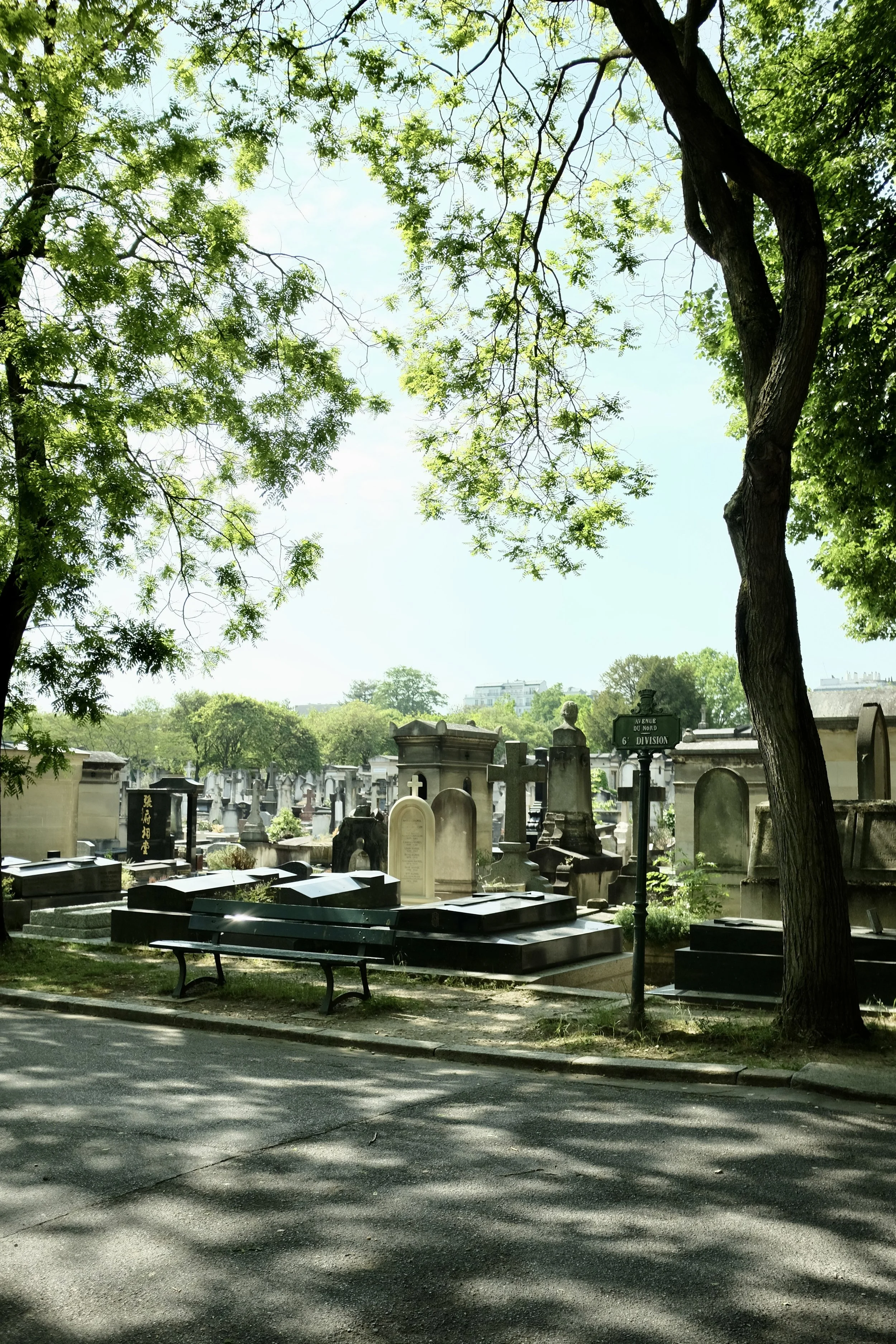DSCF6495.jpg