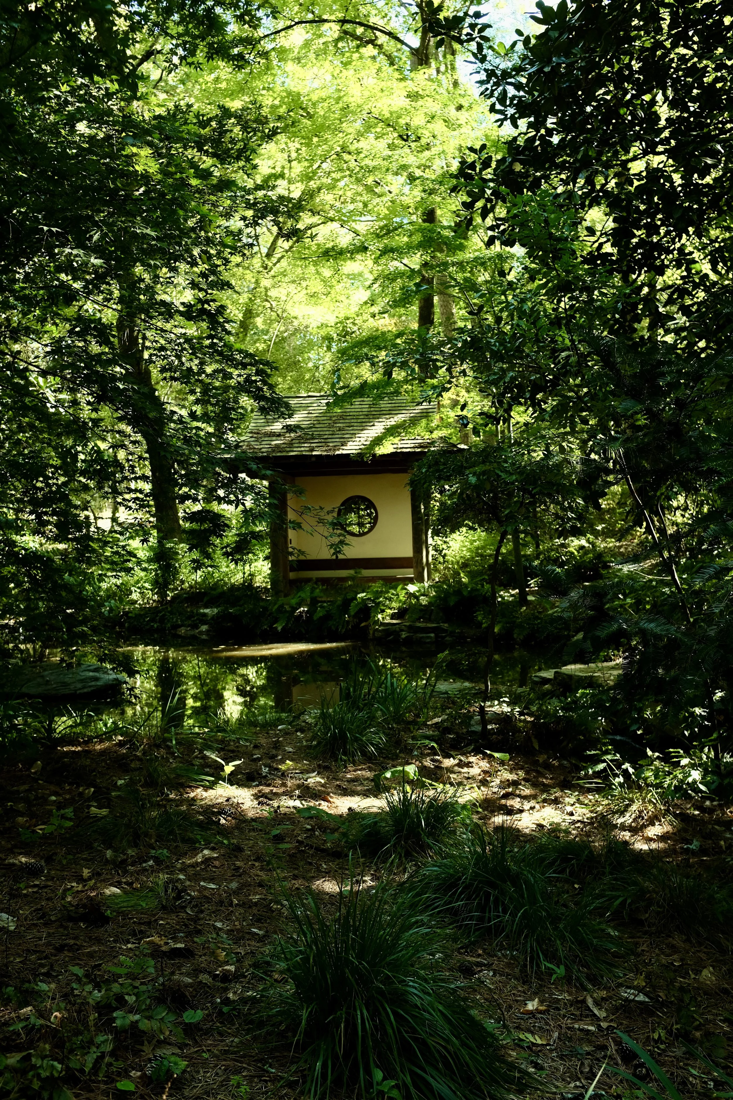 DSCF6286.jpg