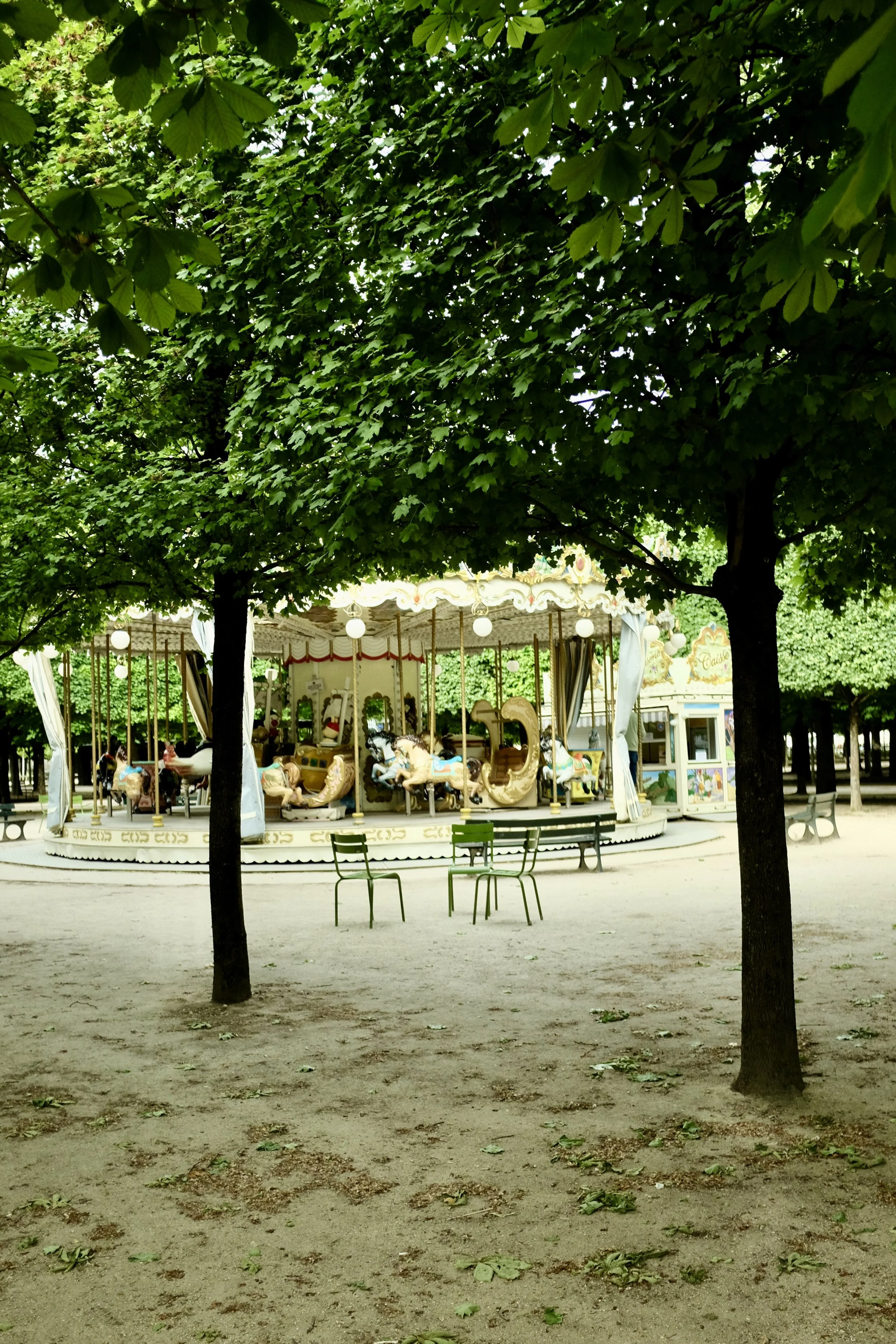 DSCF6461.jpg