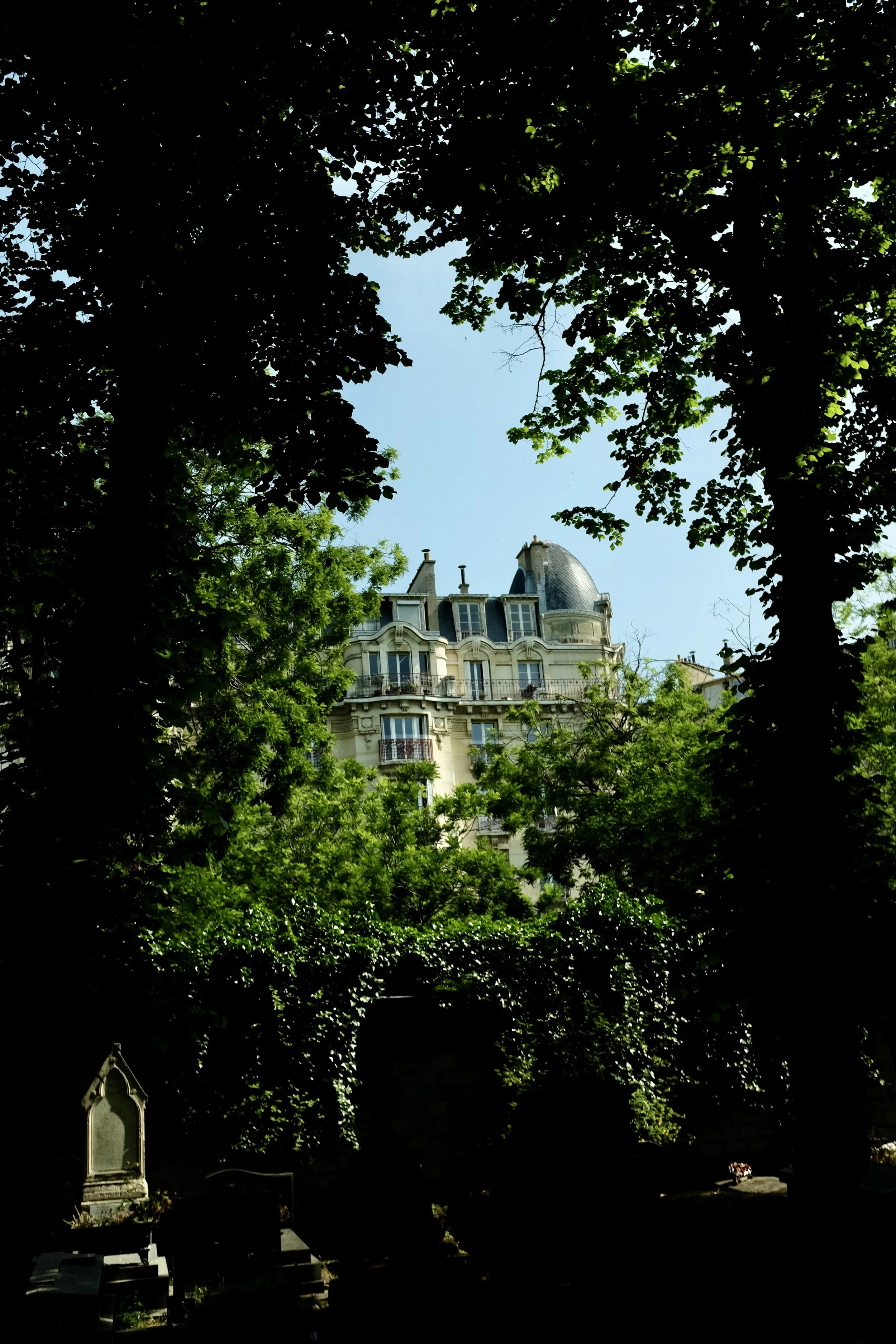 DSCF6491.jpg