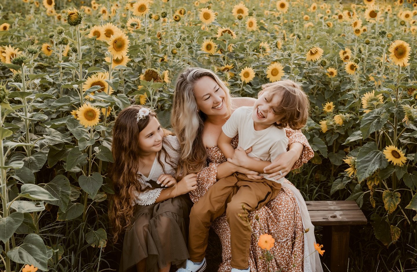 🌻Sunflower Minis Next Week!🌻

DM me for details!