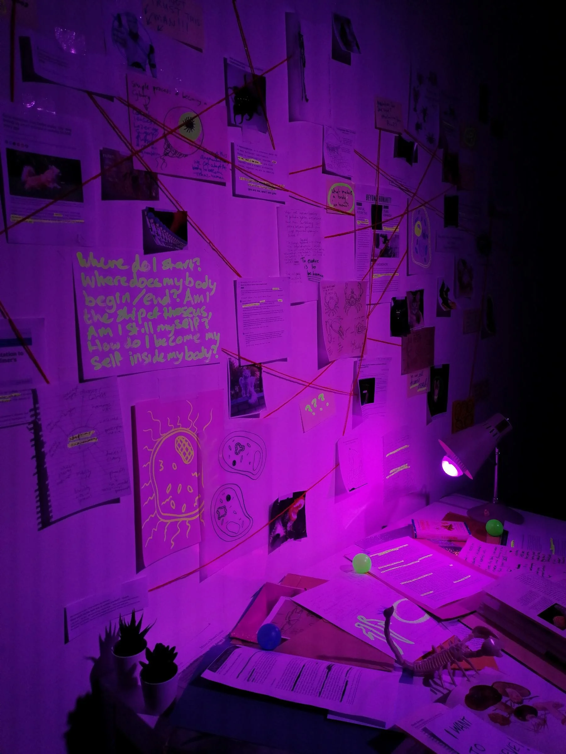 Installation view of rEVOLUTION PARTY cabaret @ A4Sounds Studios (2022)