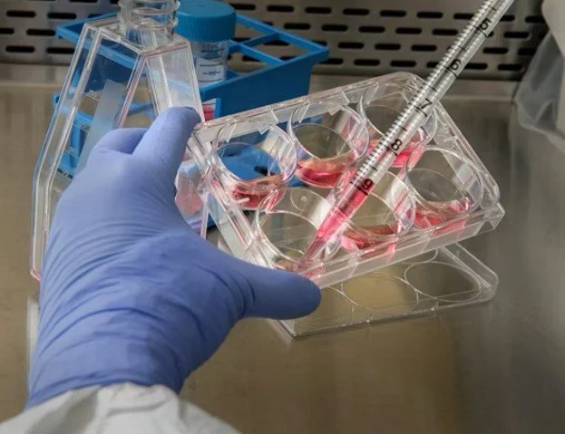 Navigating Fragmentation, Capital and Commercial Reality in Life Sciences in 2026