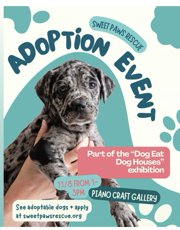 Sweet Paws Rescue at Piano Craft Gallery Boston