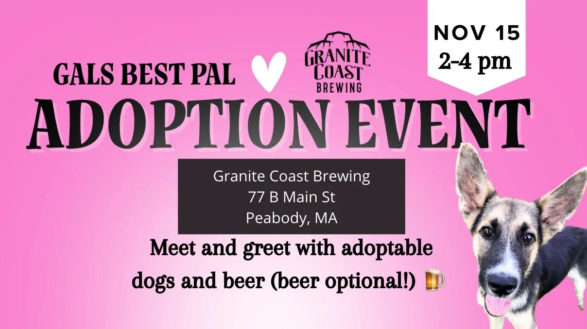 Gals Best Pal at Granite Brewing