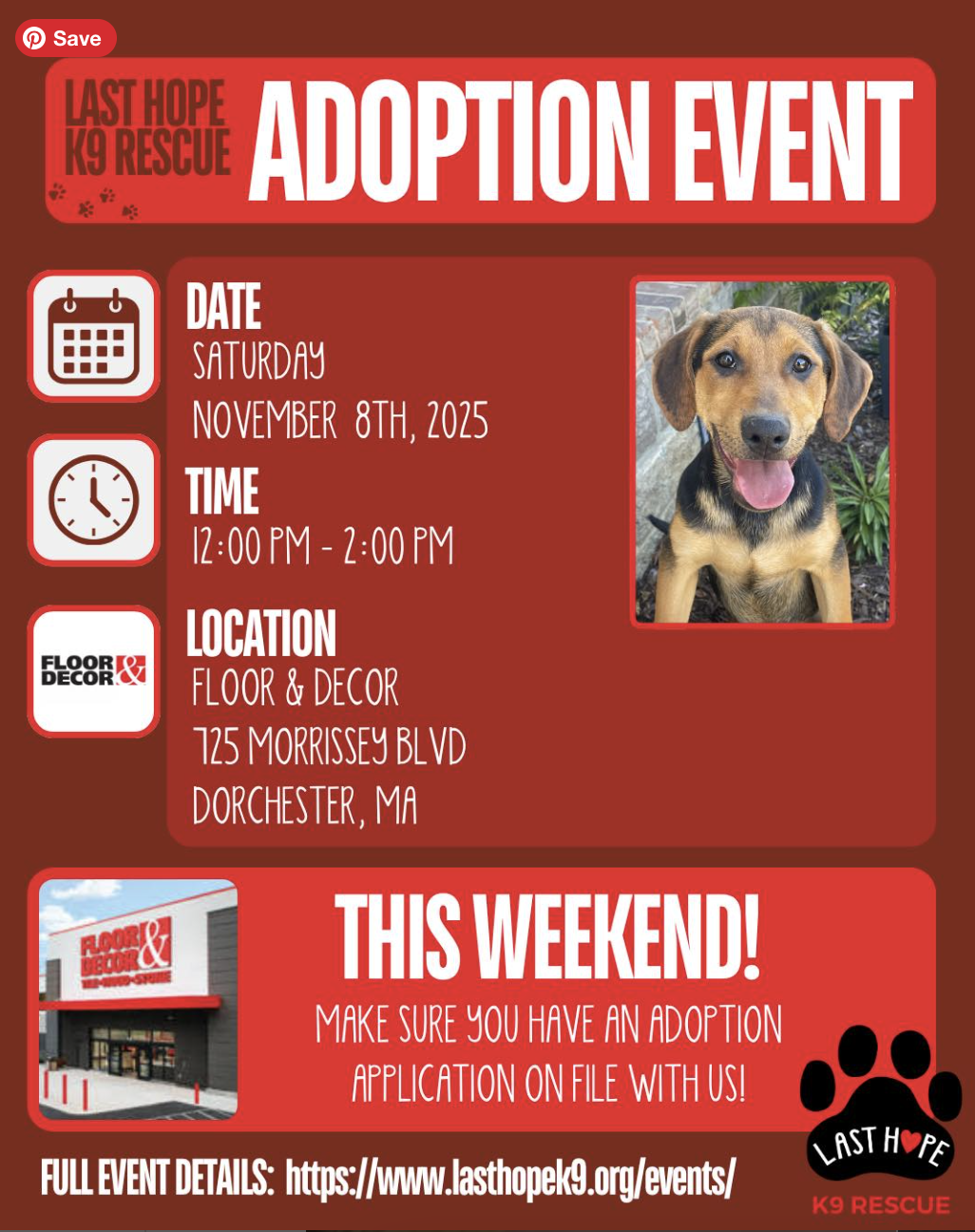 Last Hope K9 Adoption Event