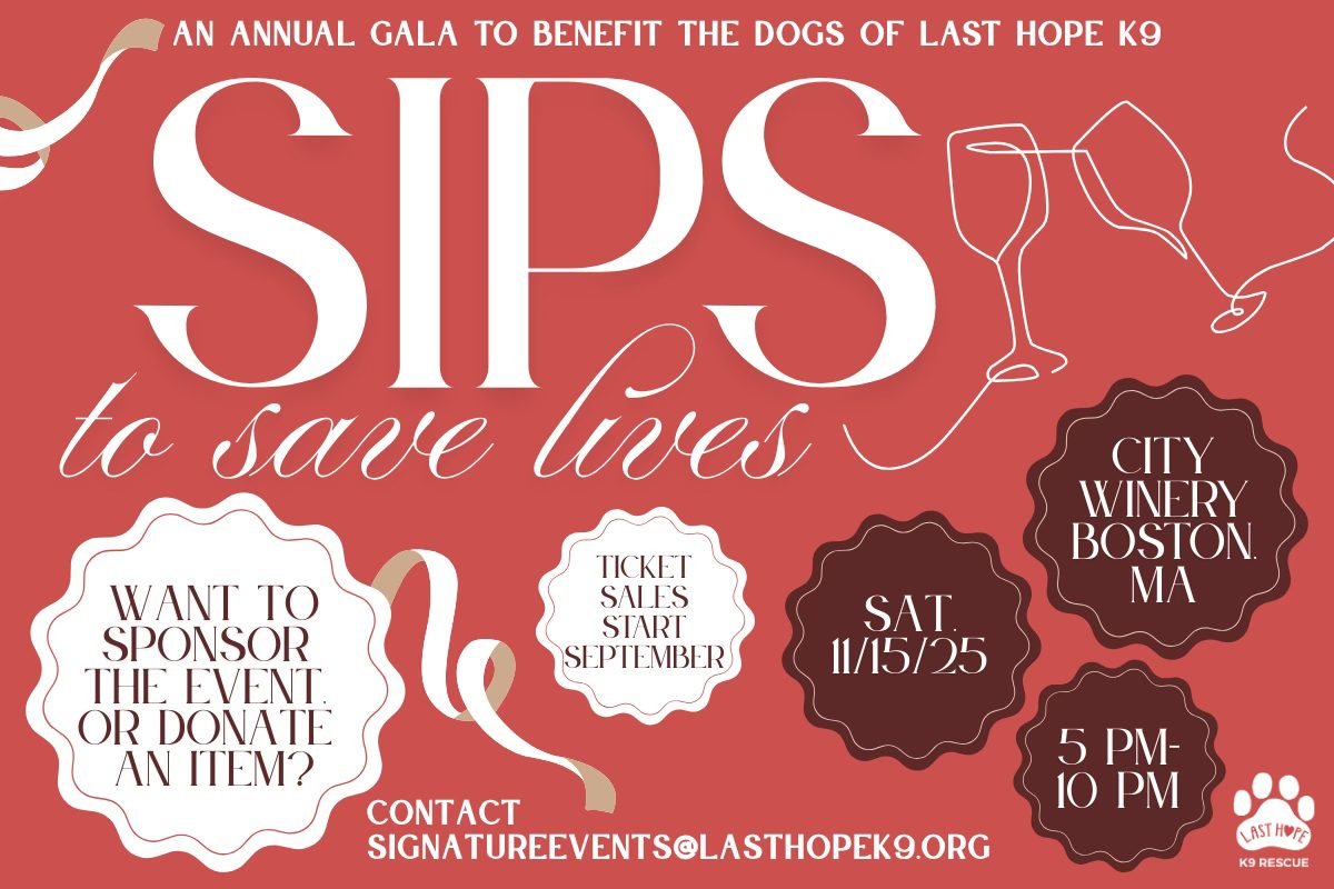 Sips to Save Lives 2025!